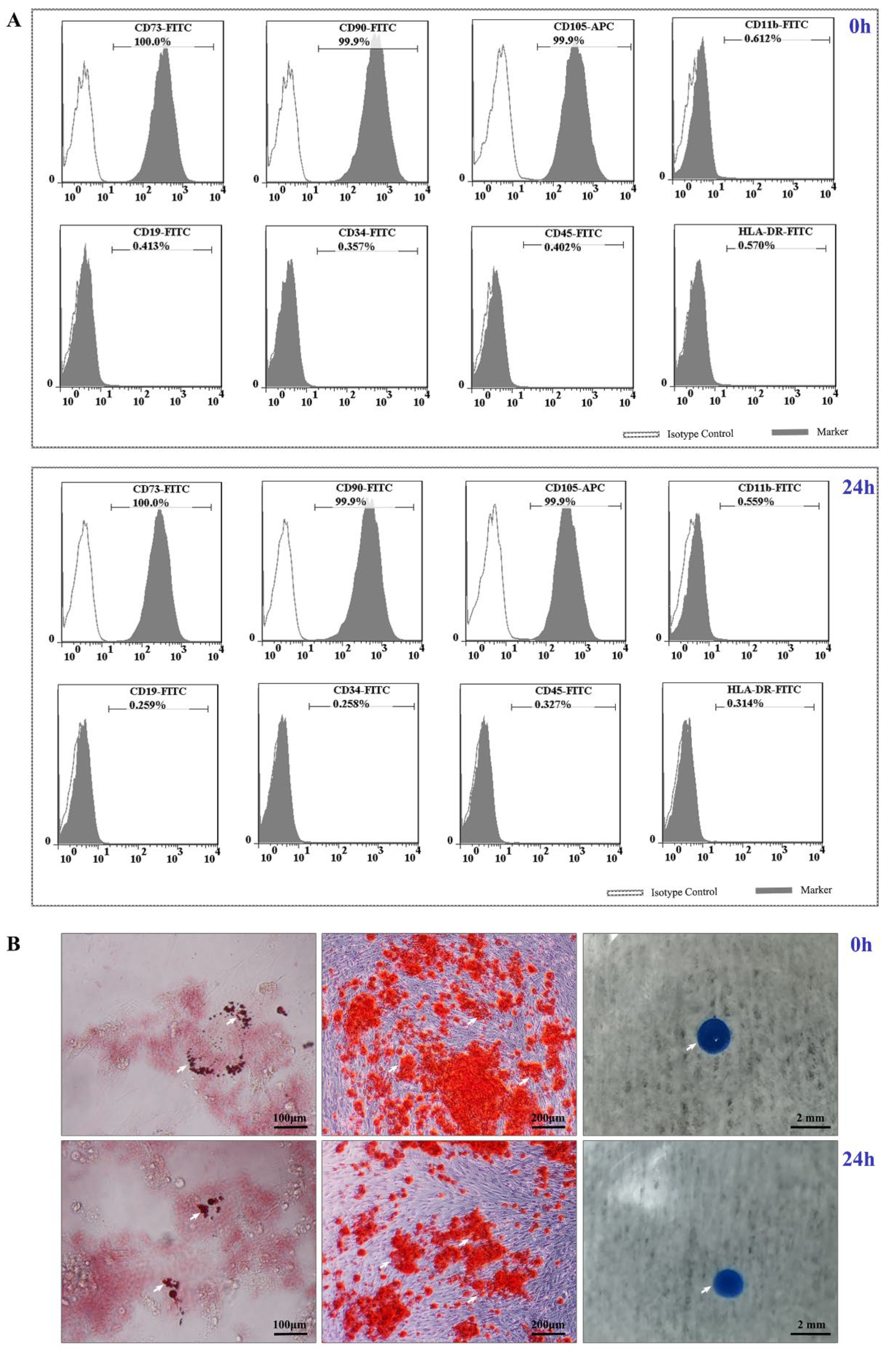Cells 11 02732 g006 550