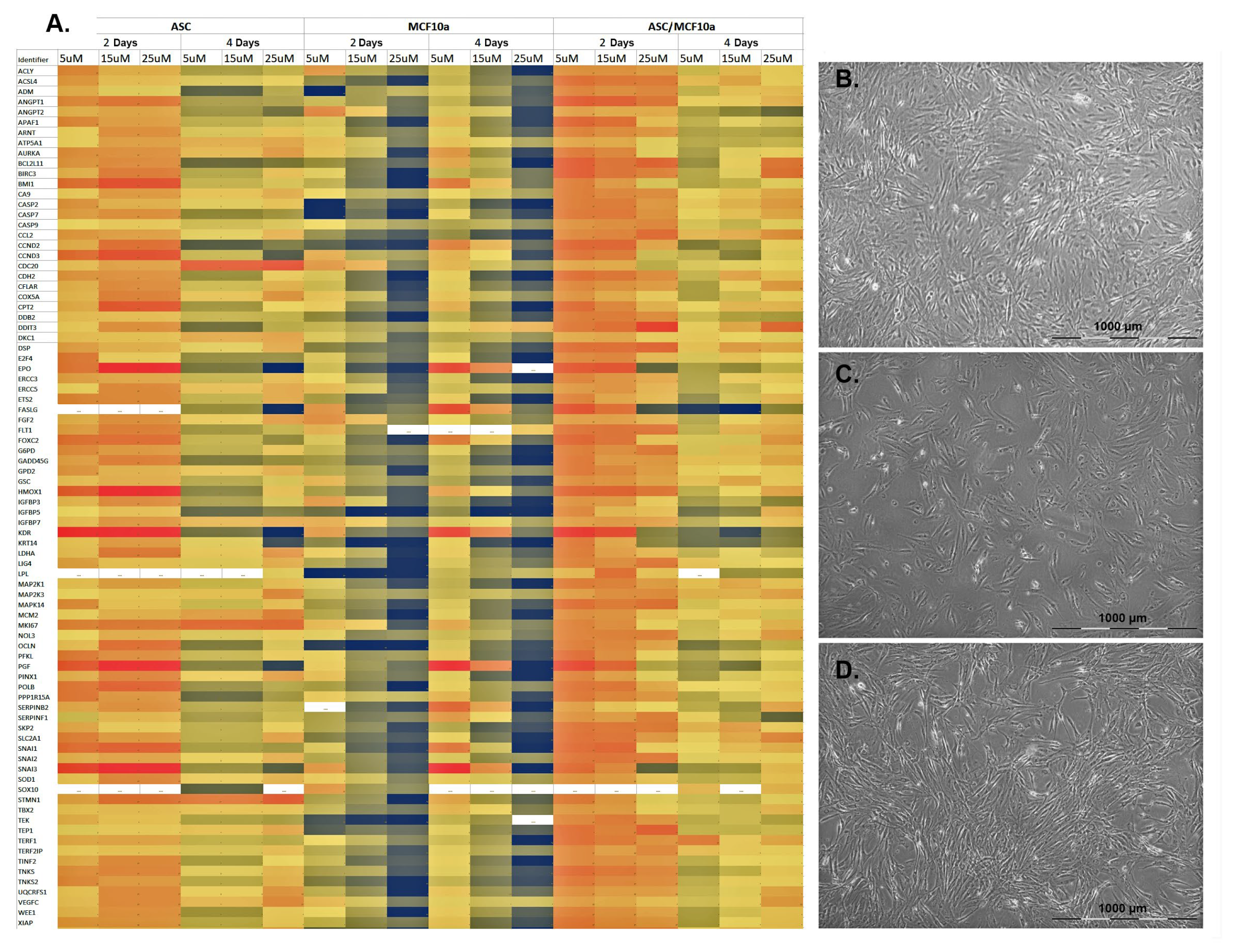 Cells 11 02733 g001 550