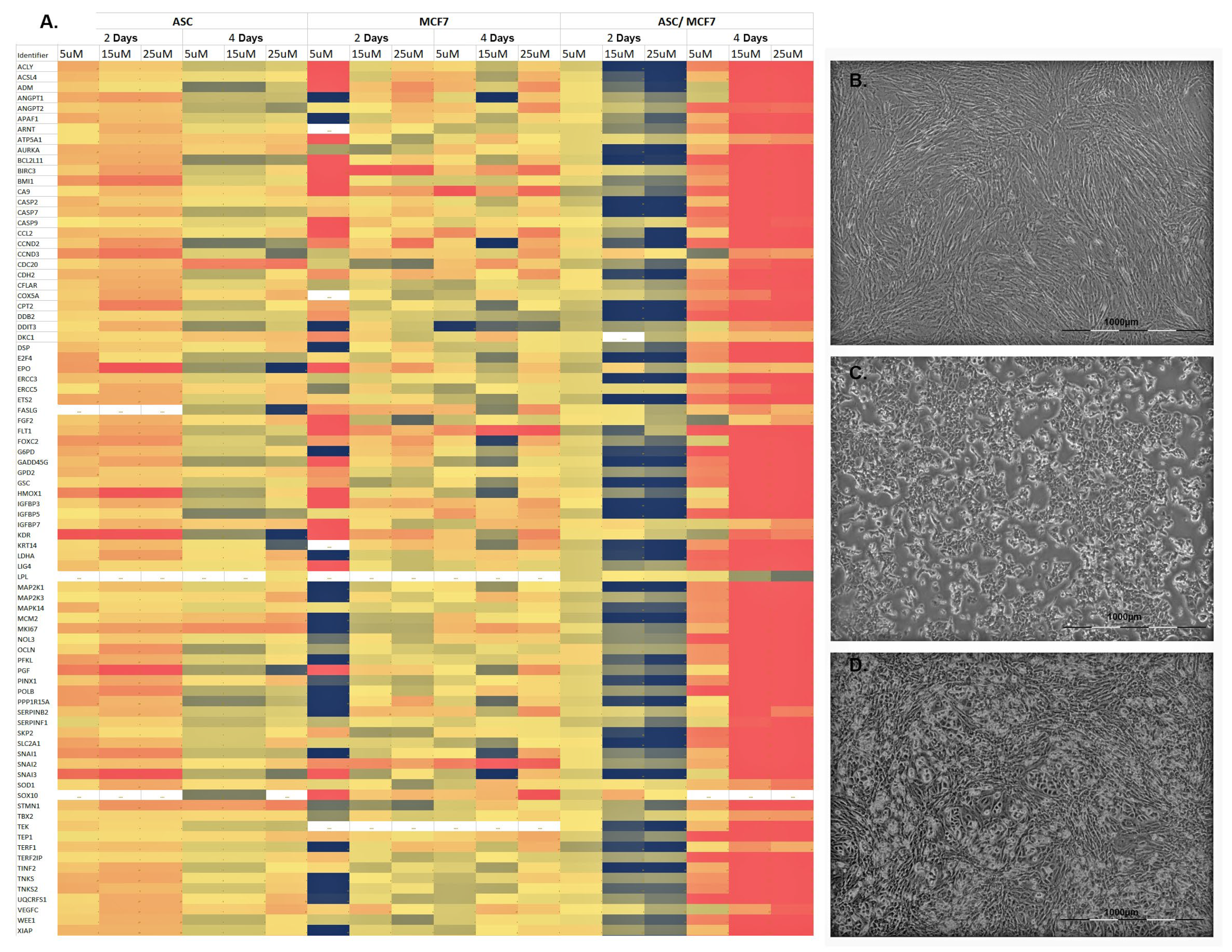 Cells 11 02733 g003 550
