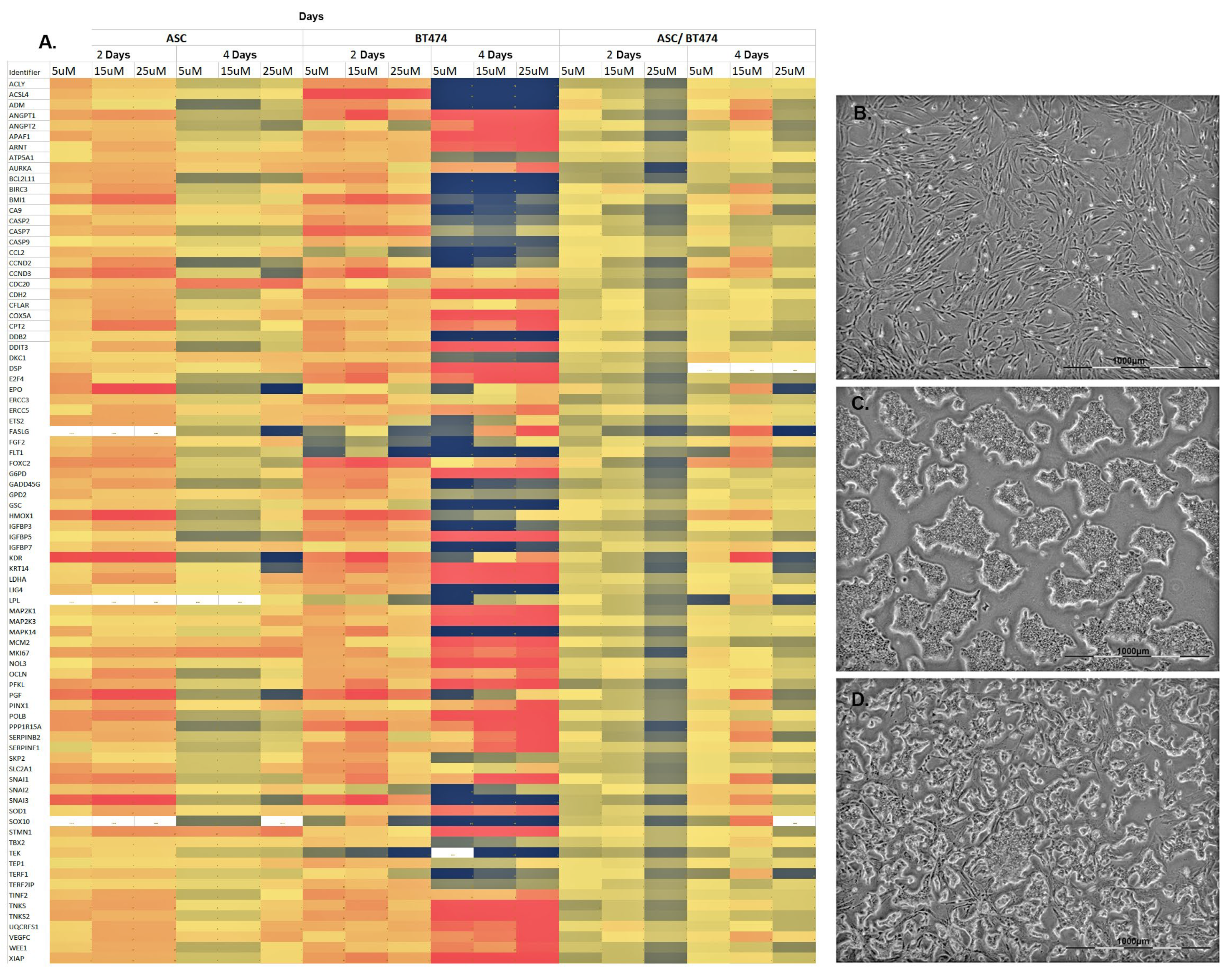 Cells 11 02733 g004 550