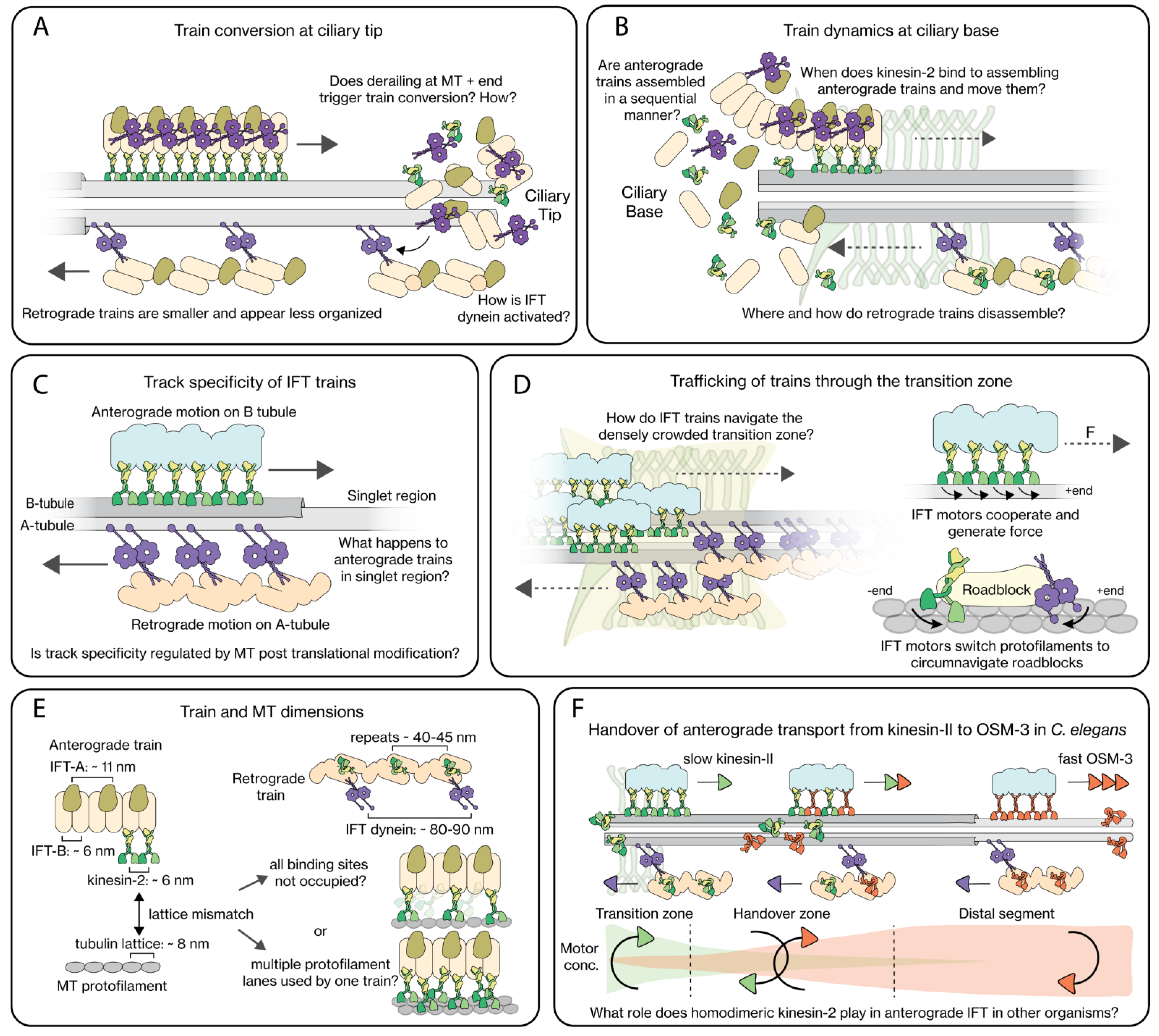 Cells 11 02737 g004 Cells 11 02737 g004