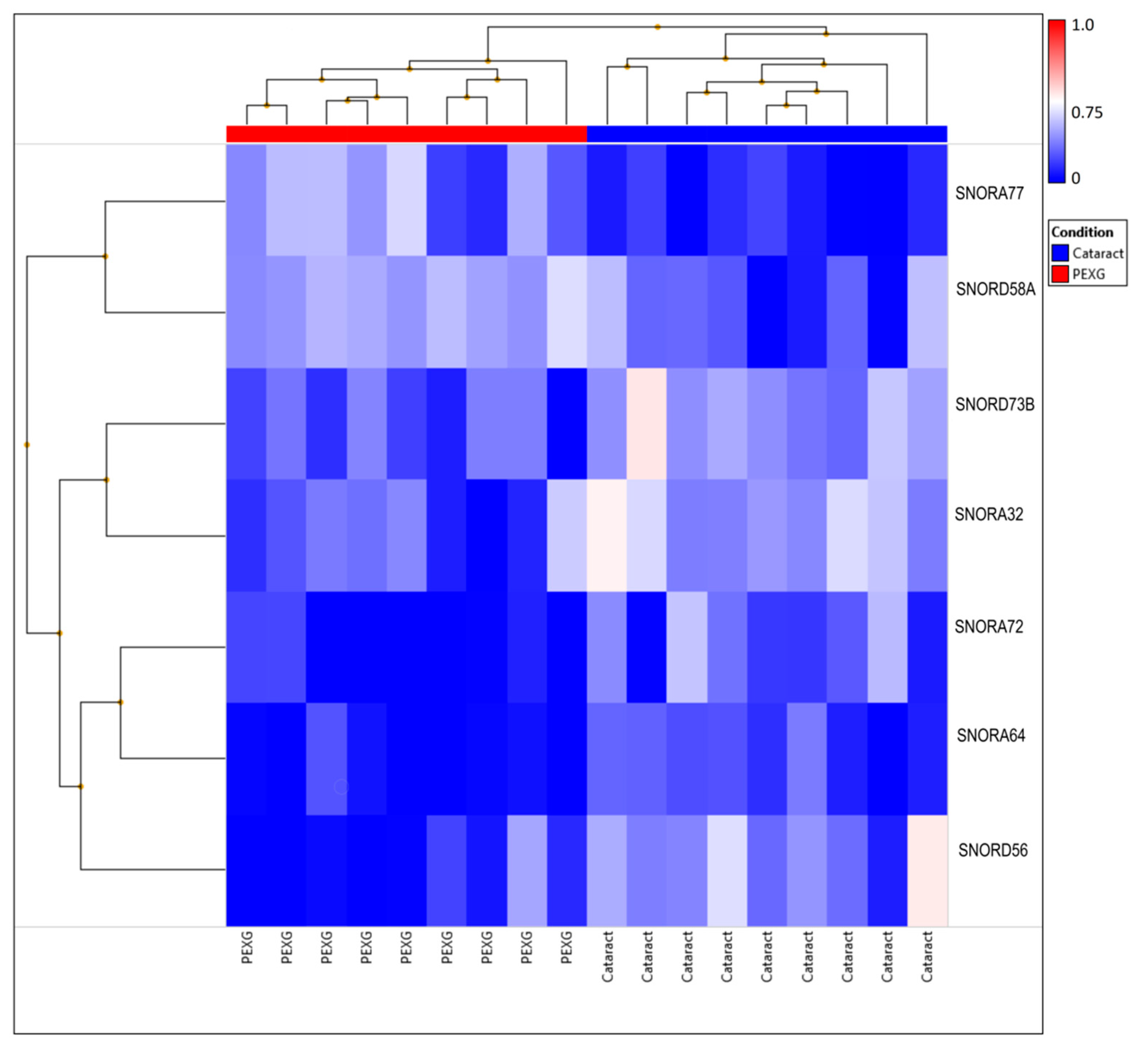 Cells 11 02738 g003 550