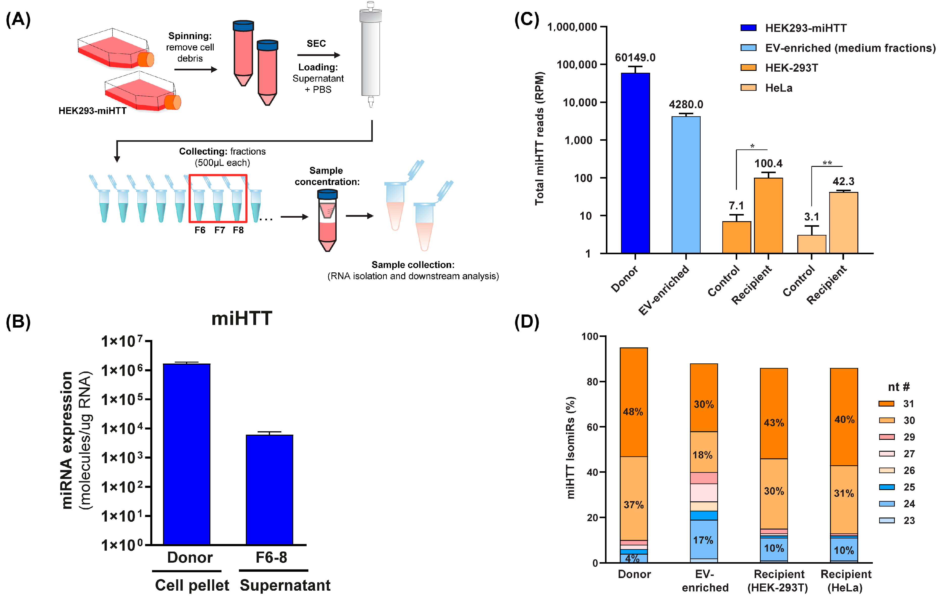 Cells 11 02748 g005 550