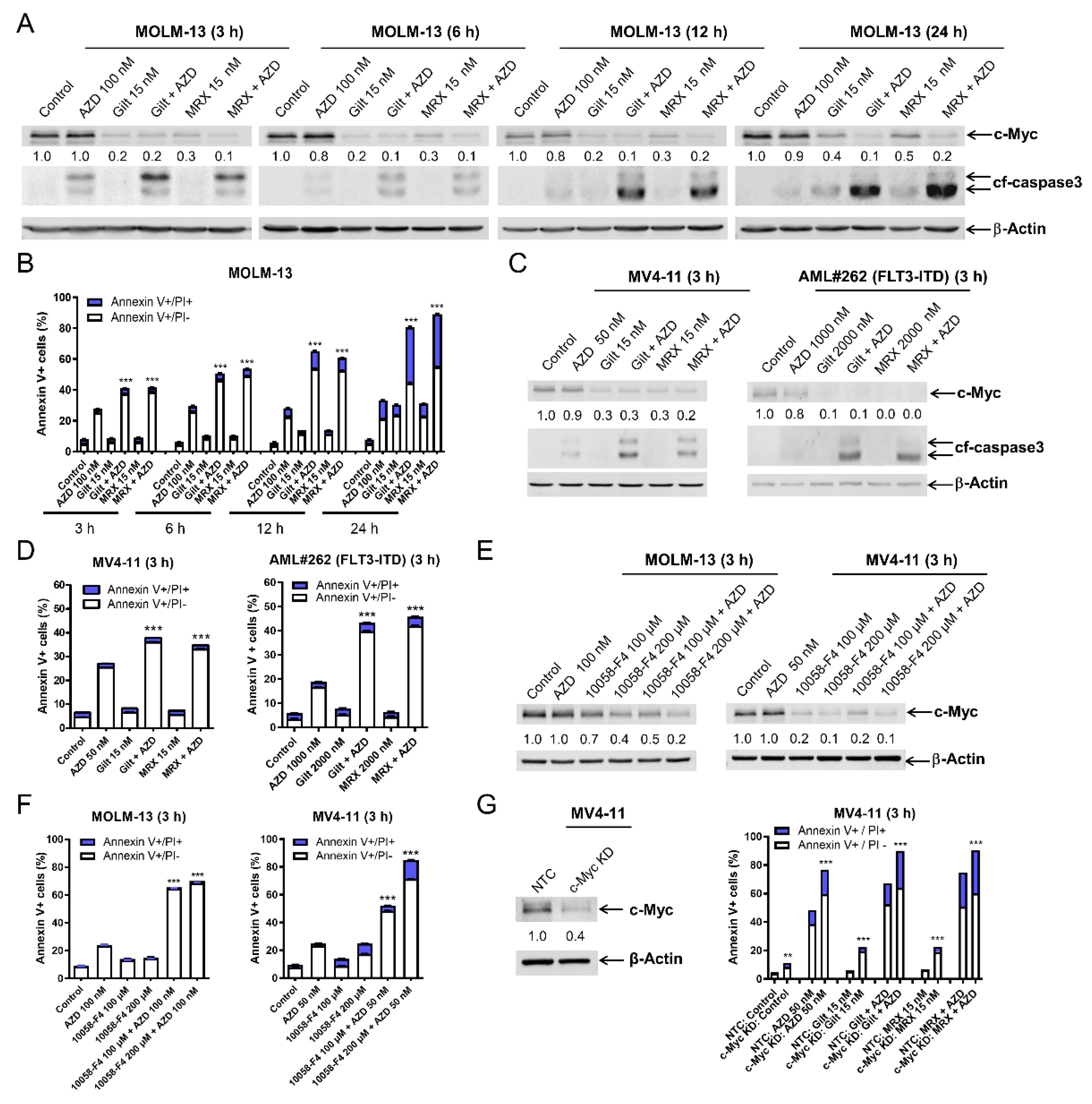 Cells 11 02752 g003 550