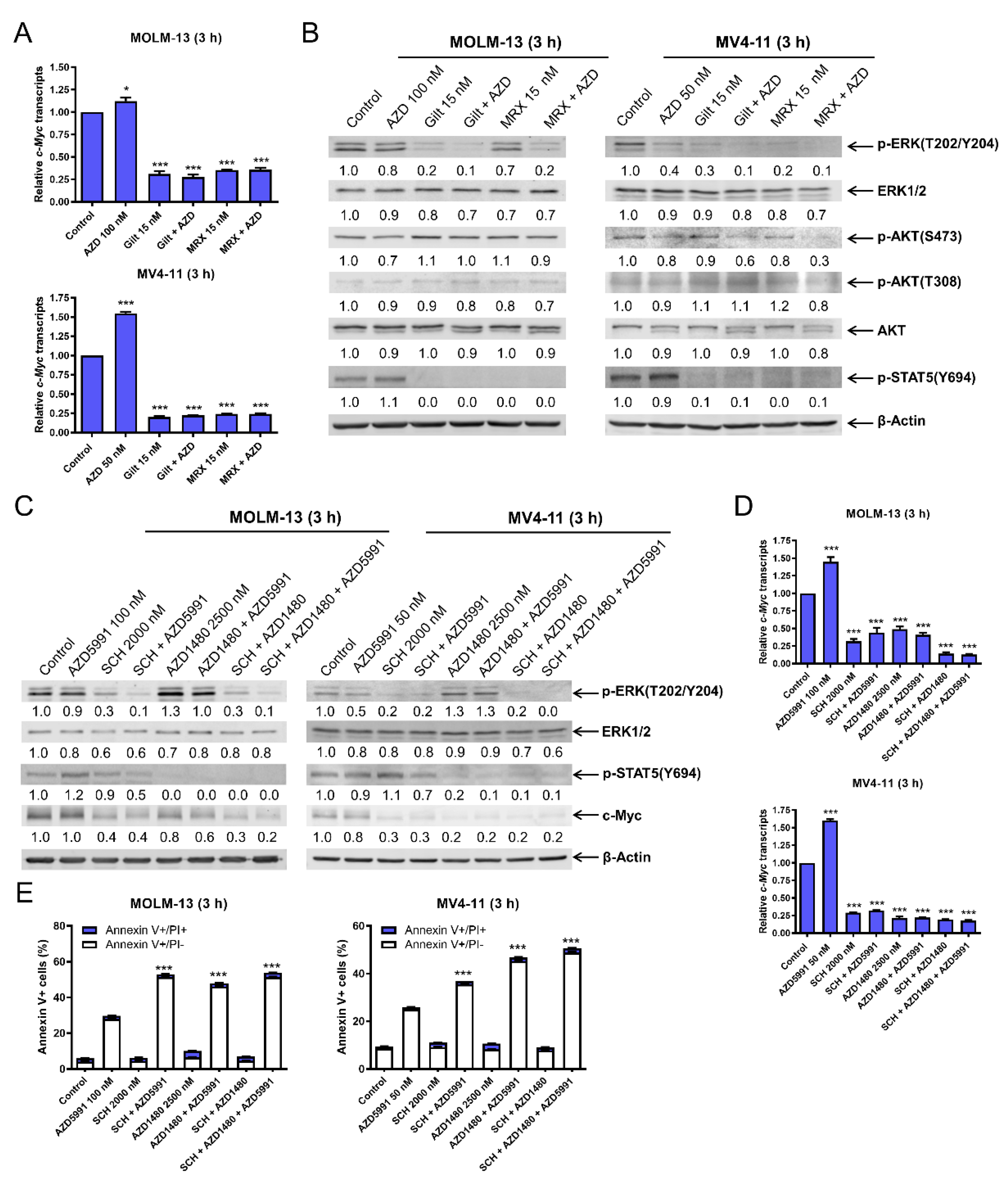 Cells 11 02752 g004 550