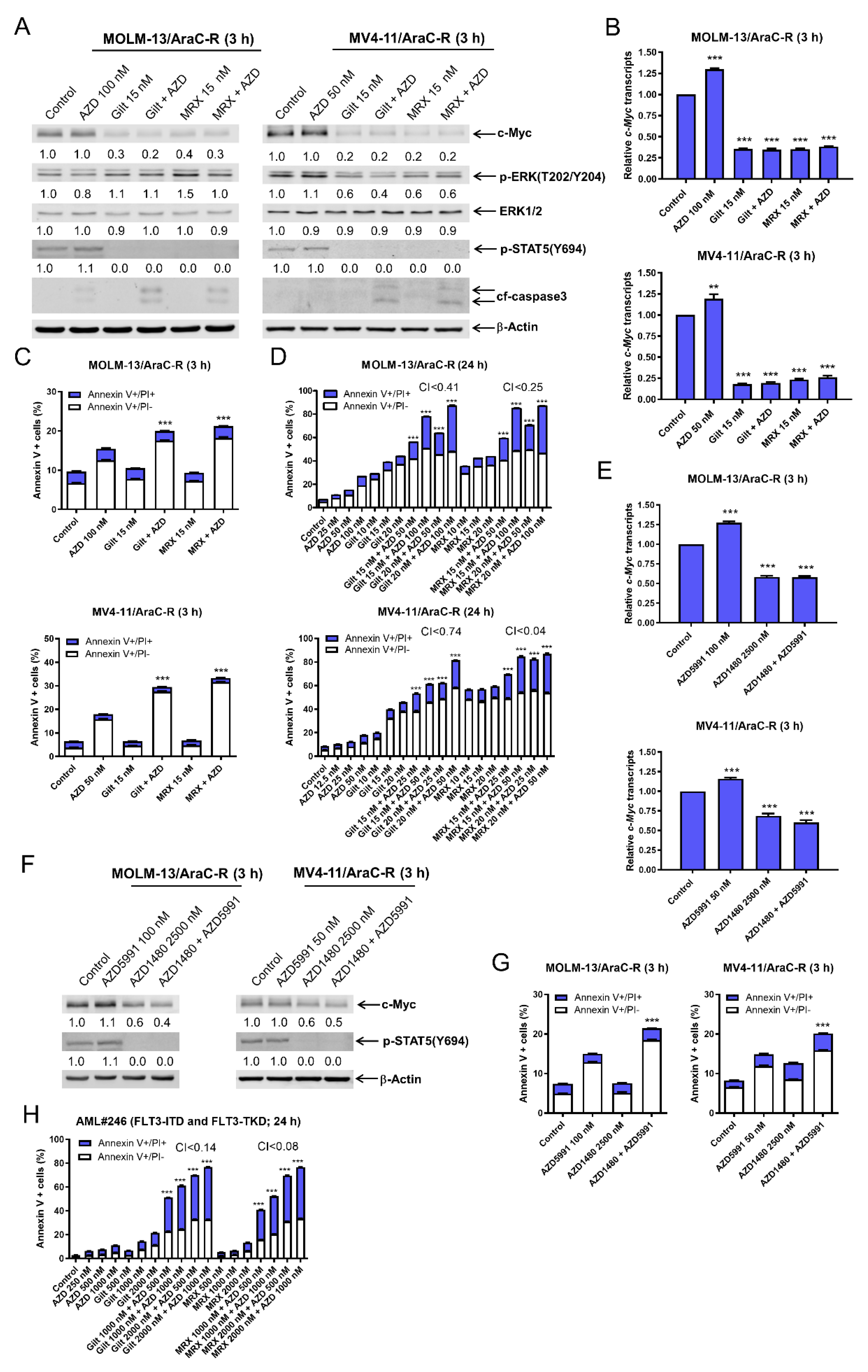 Cells 11 02752 g006 550