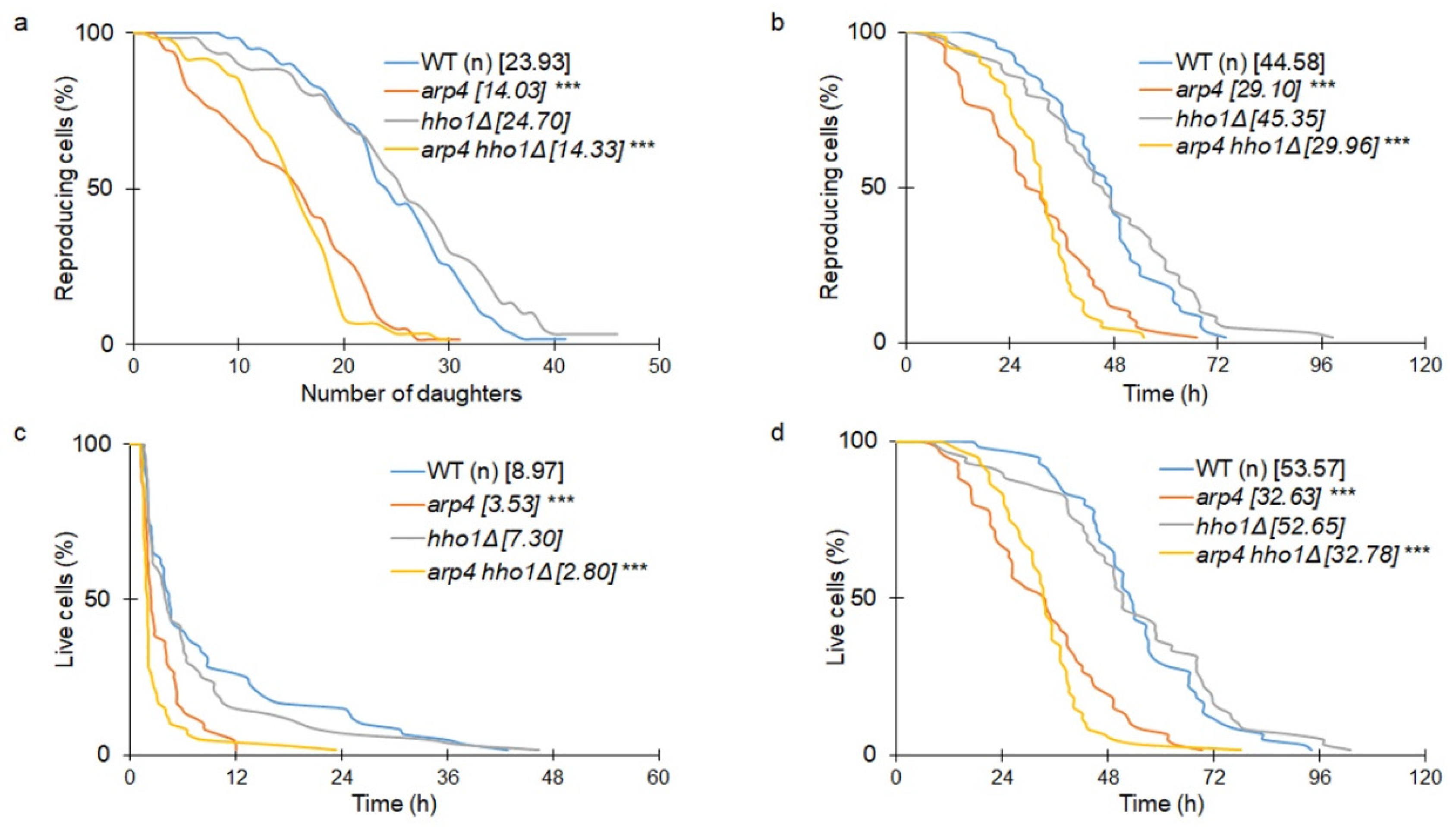 Cells 11 02754 g005 550