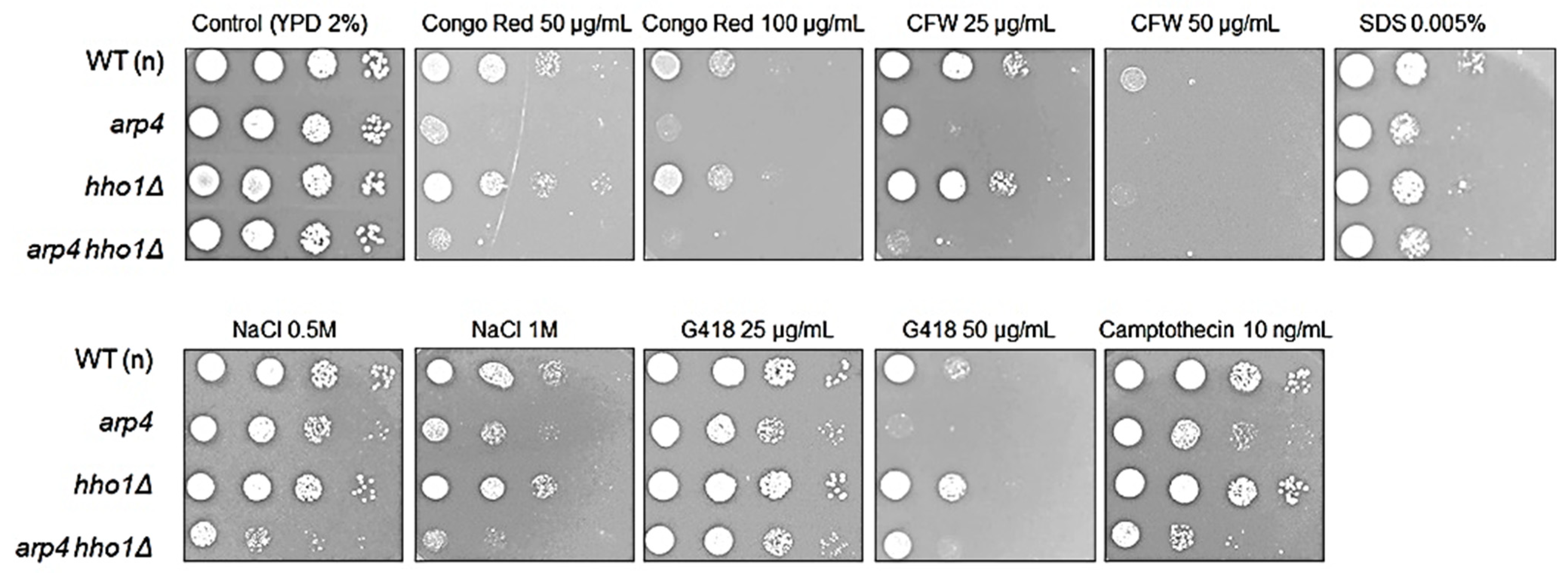 Cells 11 02754 g009 550