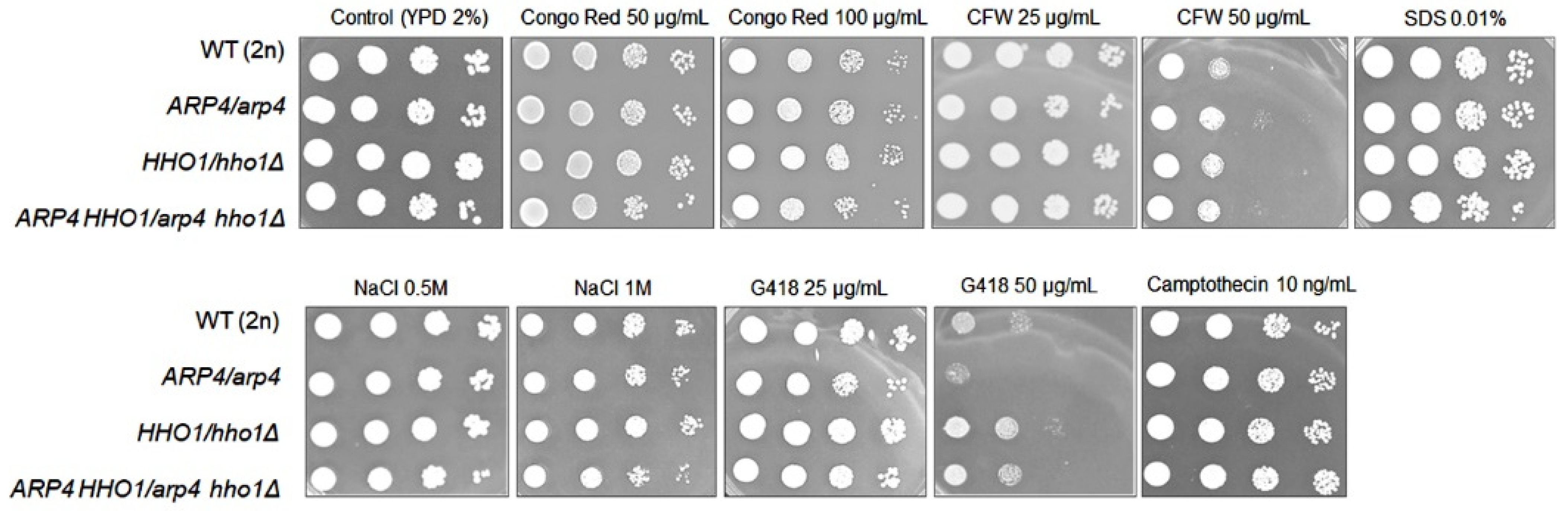 Cells 11 02754 g010 550