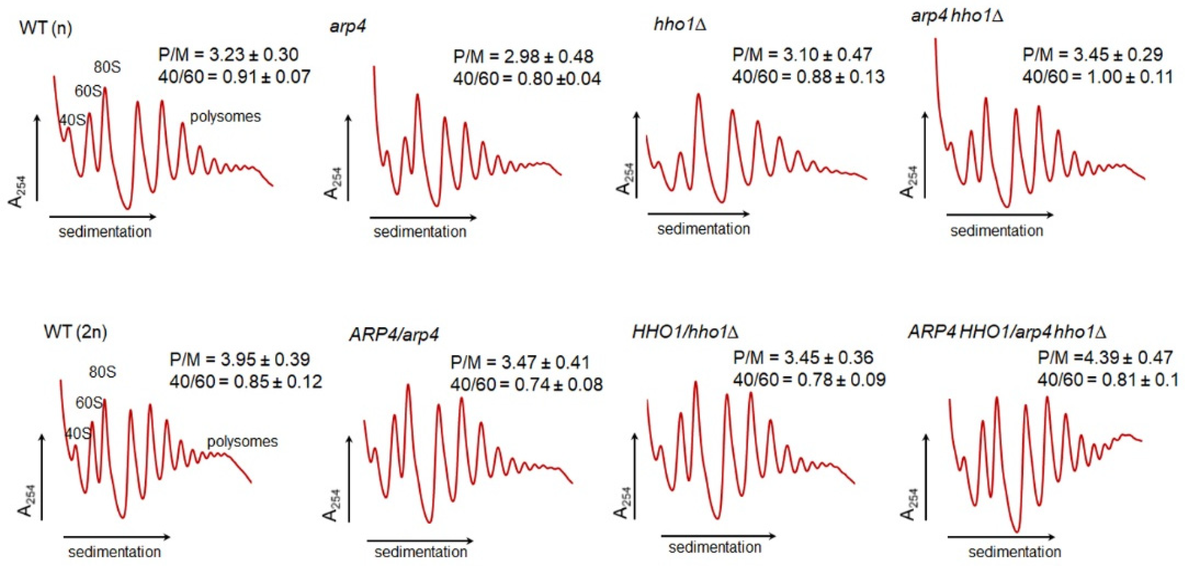 Cells 11 02754 g011 550