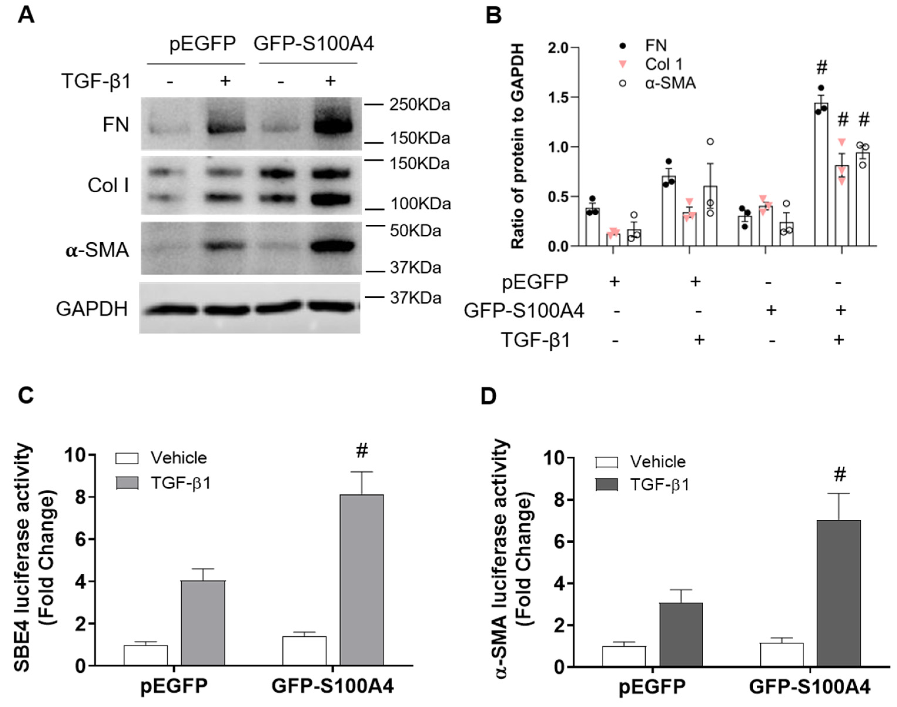 Cells 11 02762 g007 Cells 11 02762 g007