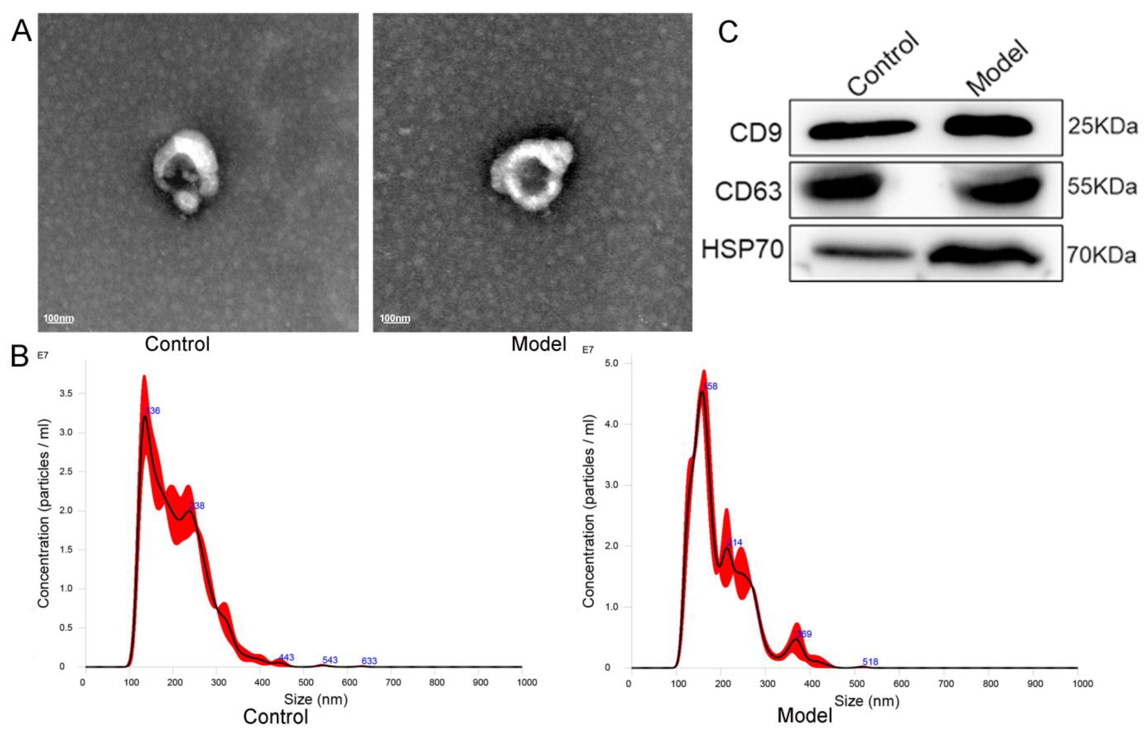 Cells 11 02766 g002 550