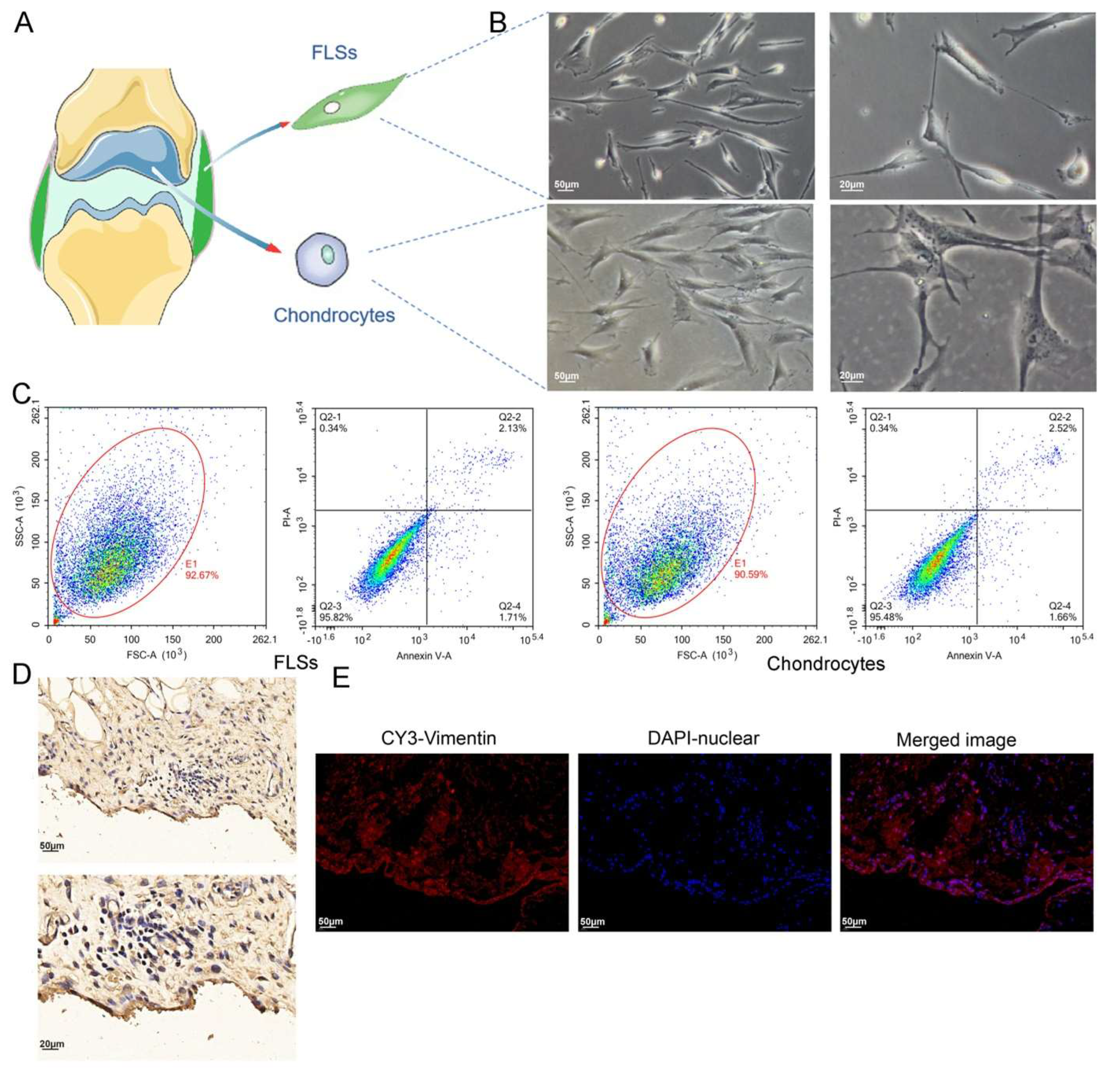 Cells 11 02766 g004 550