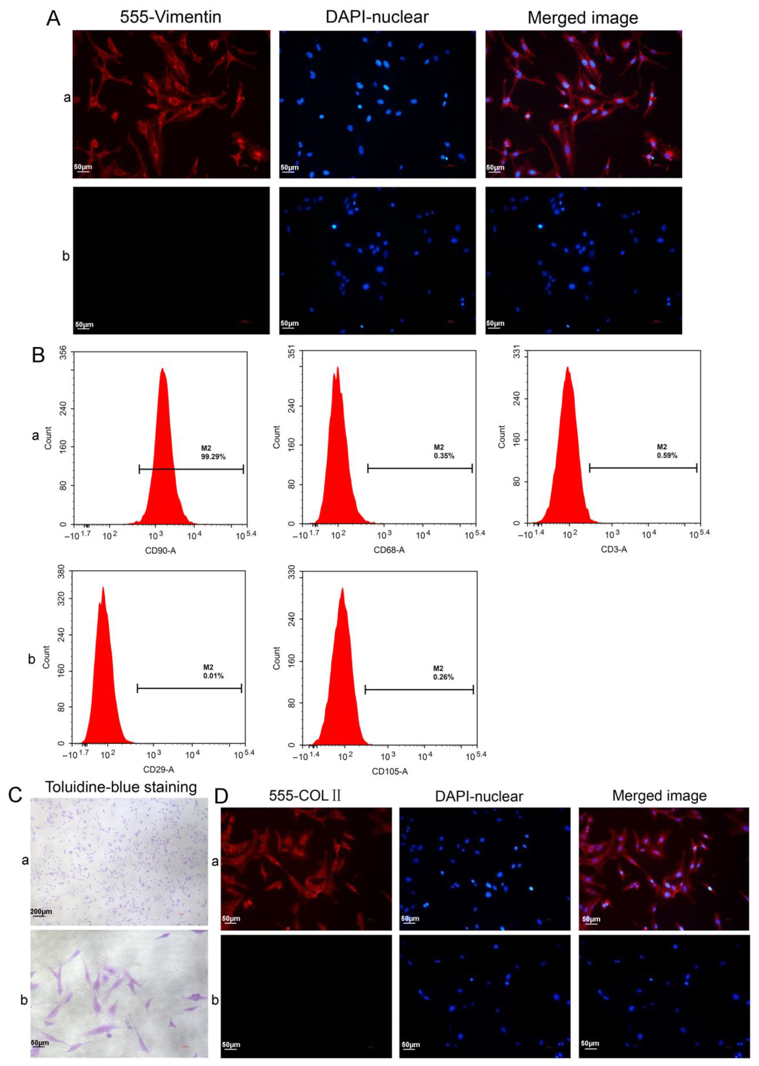 Cells 11 02766 g005 550