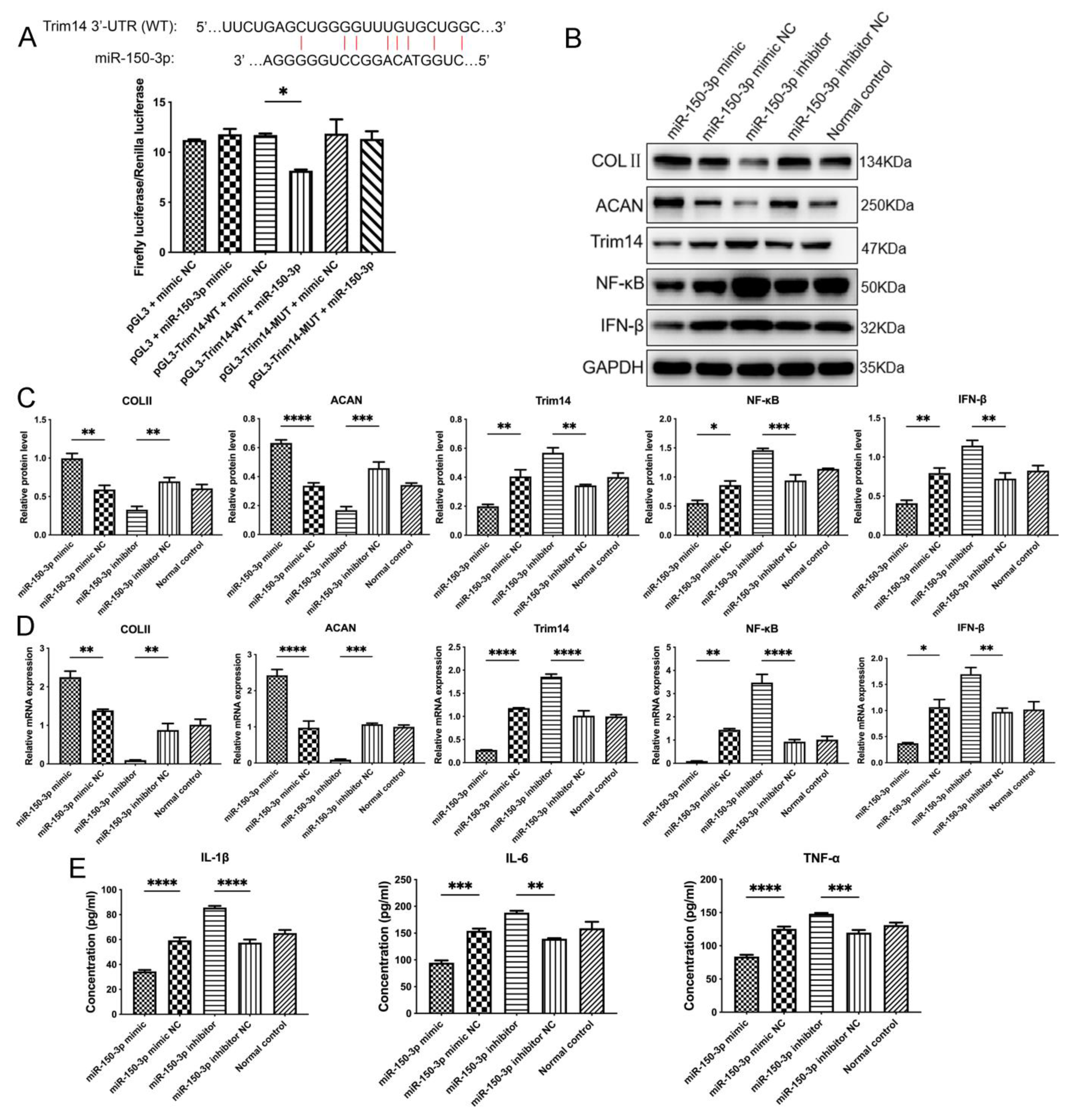 Cells 11 02766 g009 550