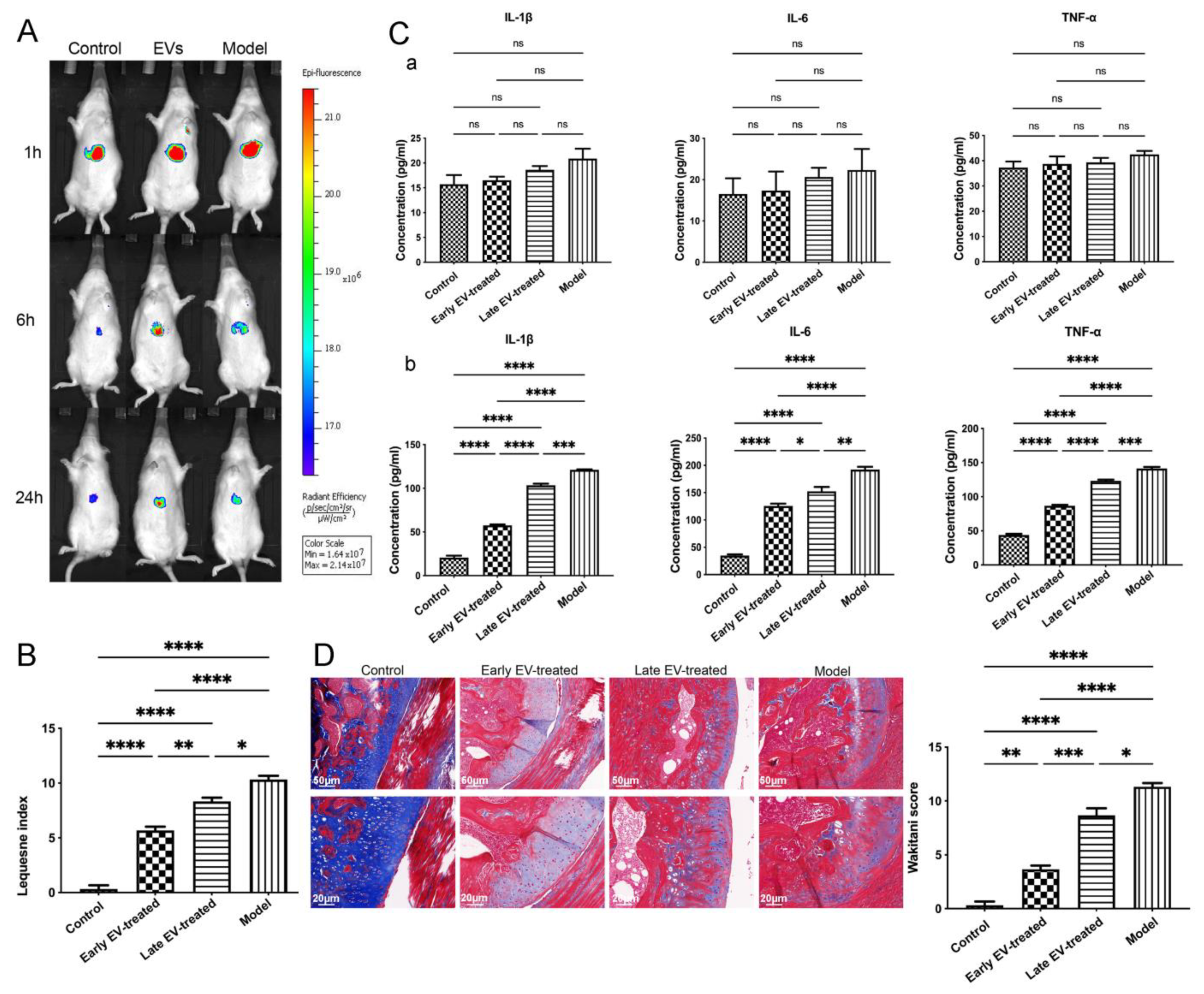 Cells 11 02766 g010 550