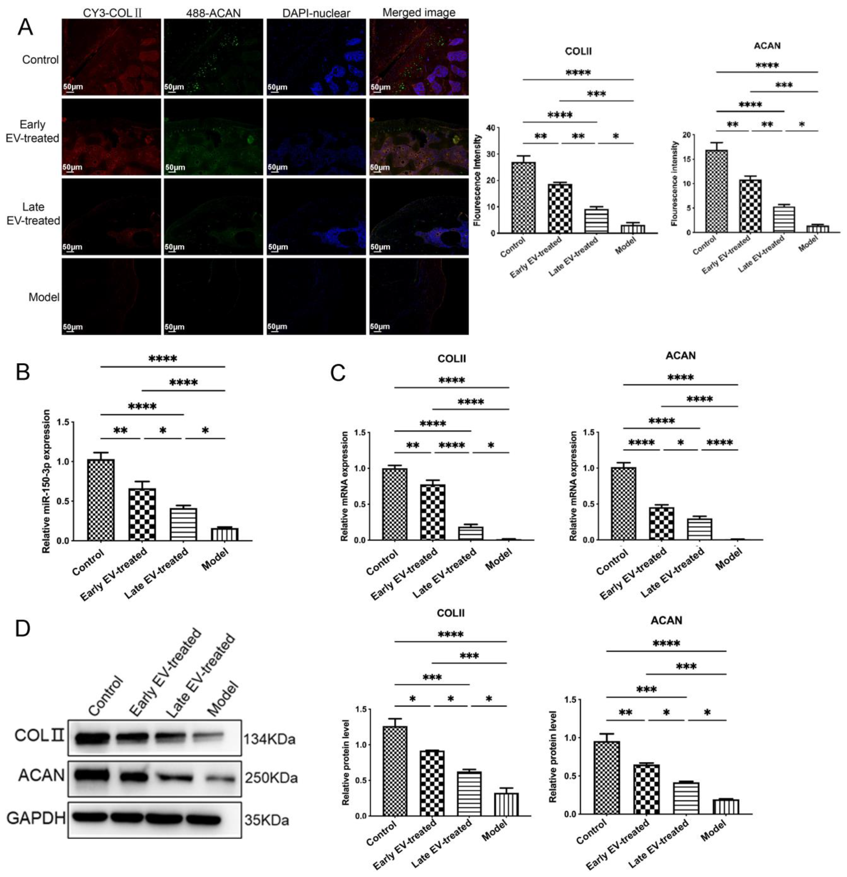 Cells 11 02766 g011 550
