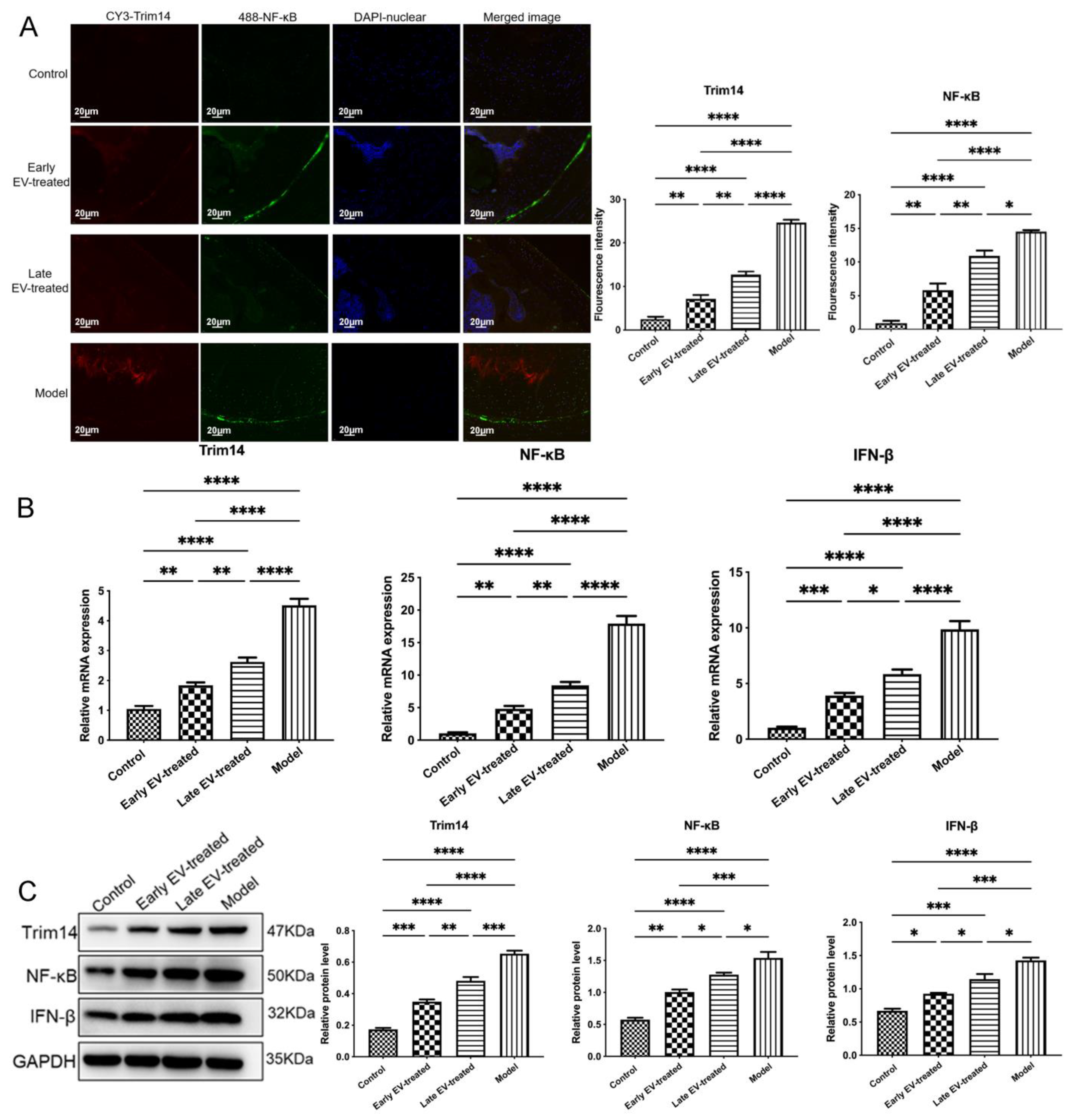 Cells 11 02766 g012 550