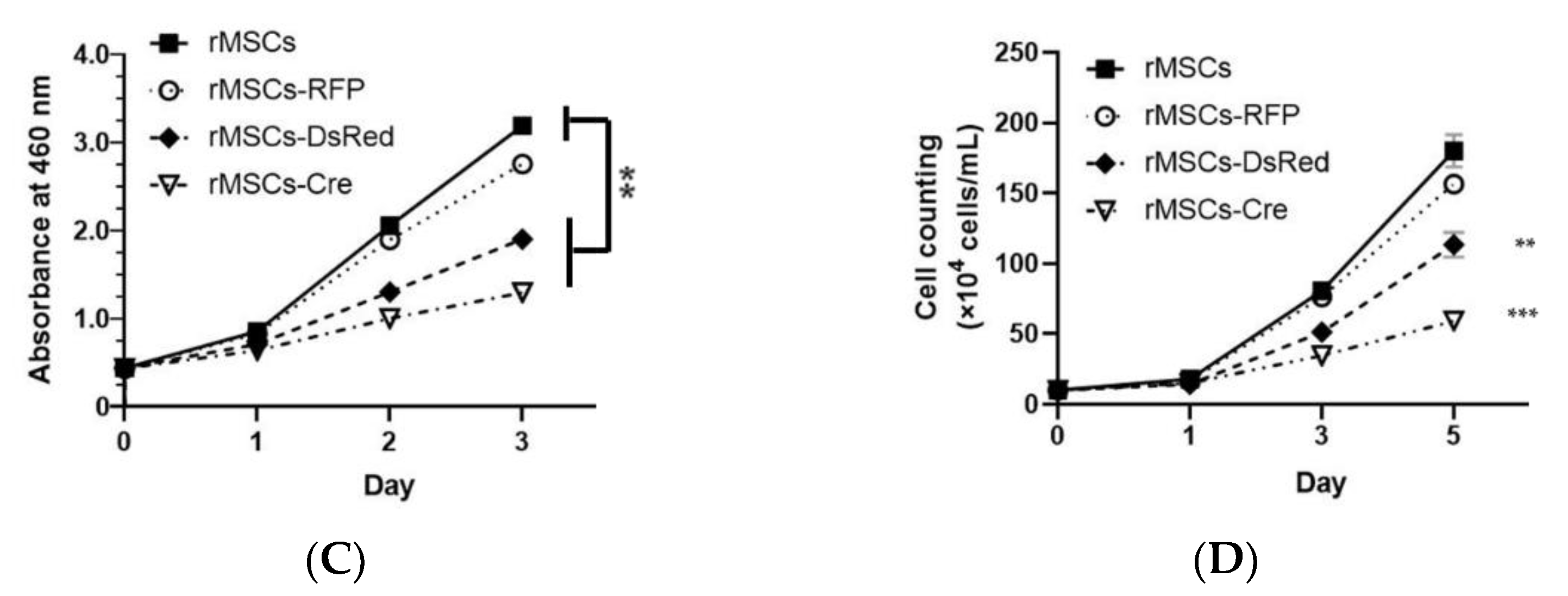 Cells 11 02769 g002b Cells 11 02769 g002b