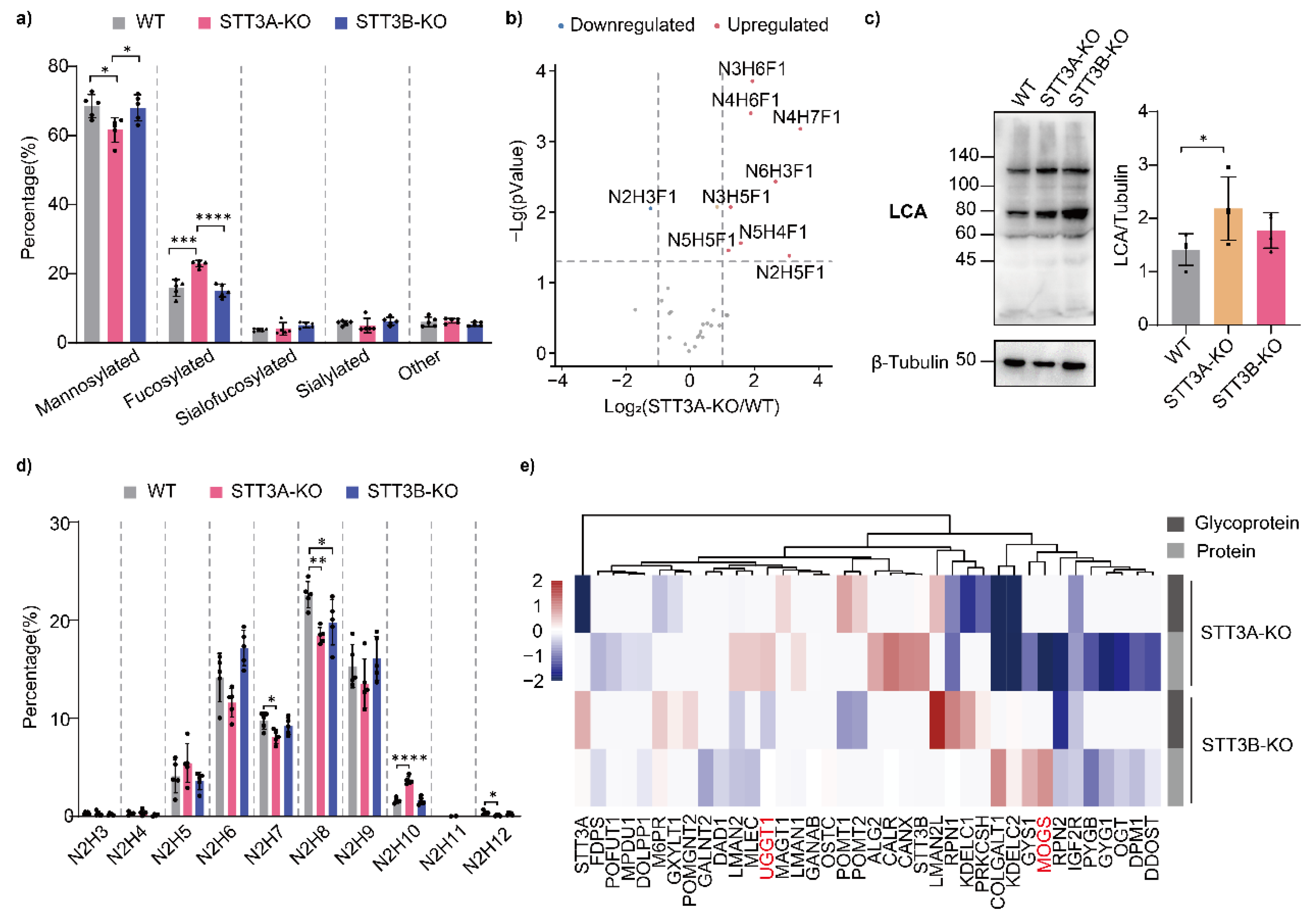 Cells 11 02775 g004 550
