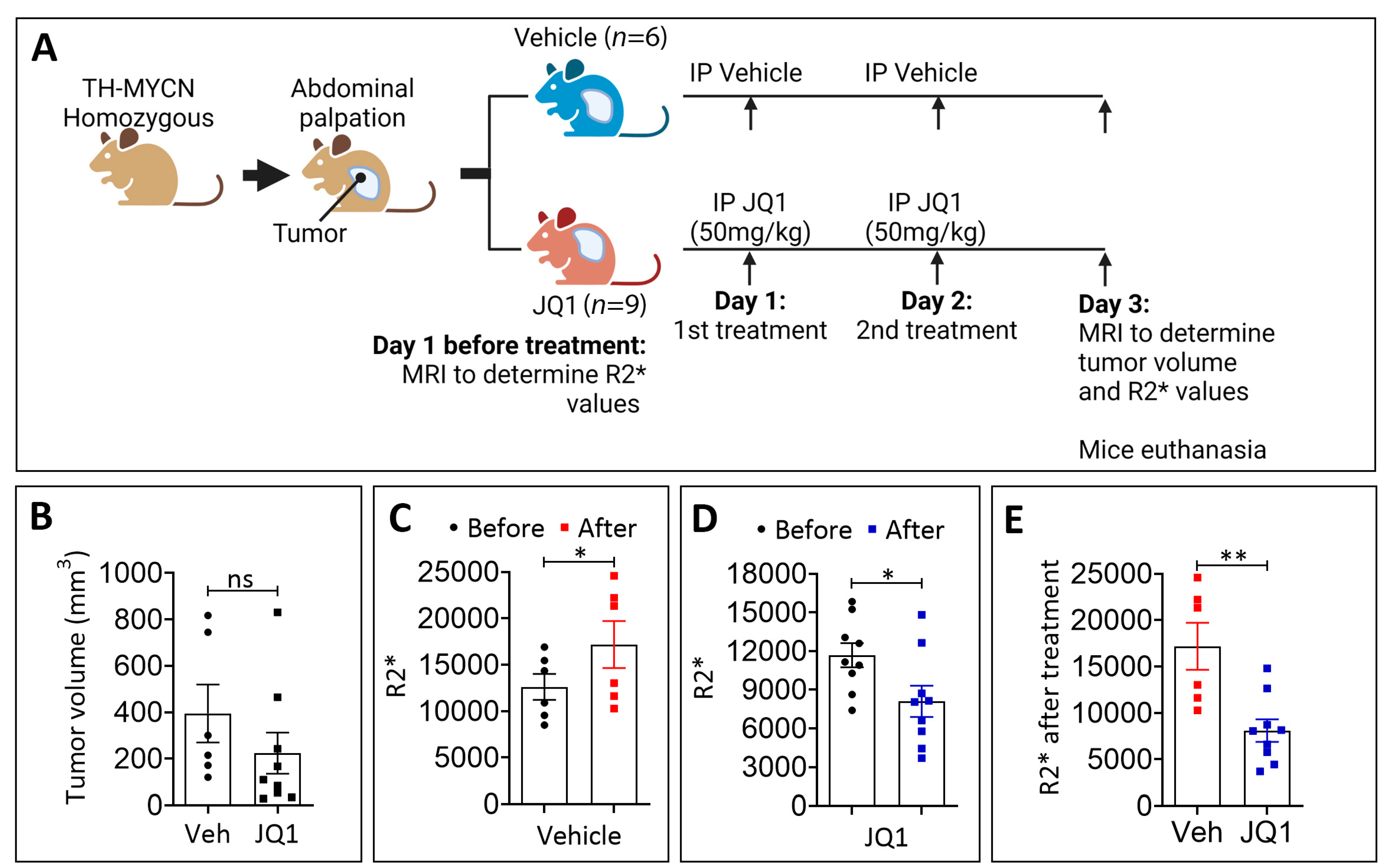 Cells 11 02783 g002a