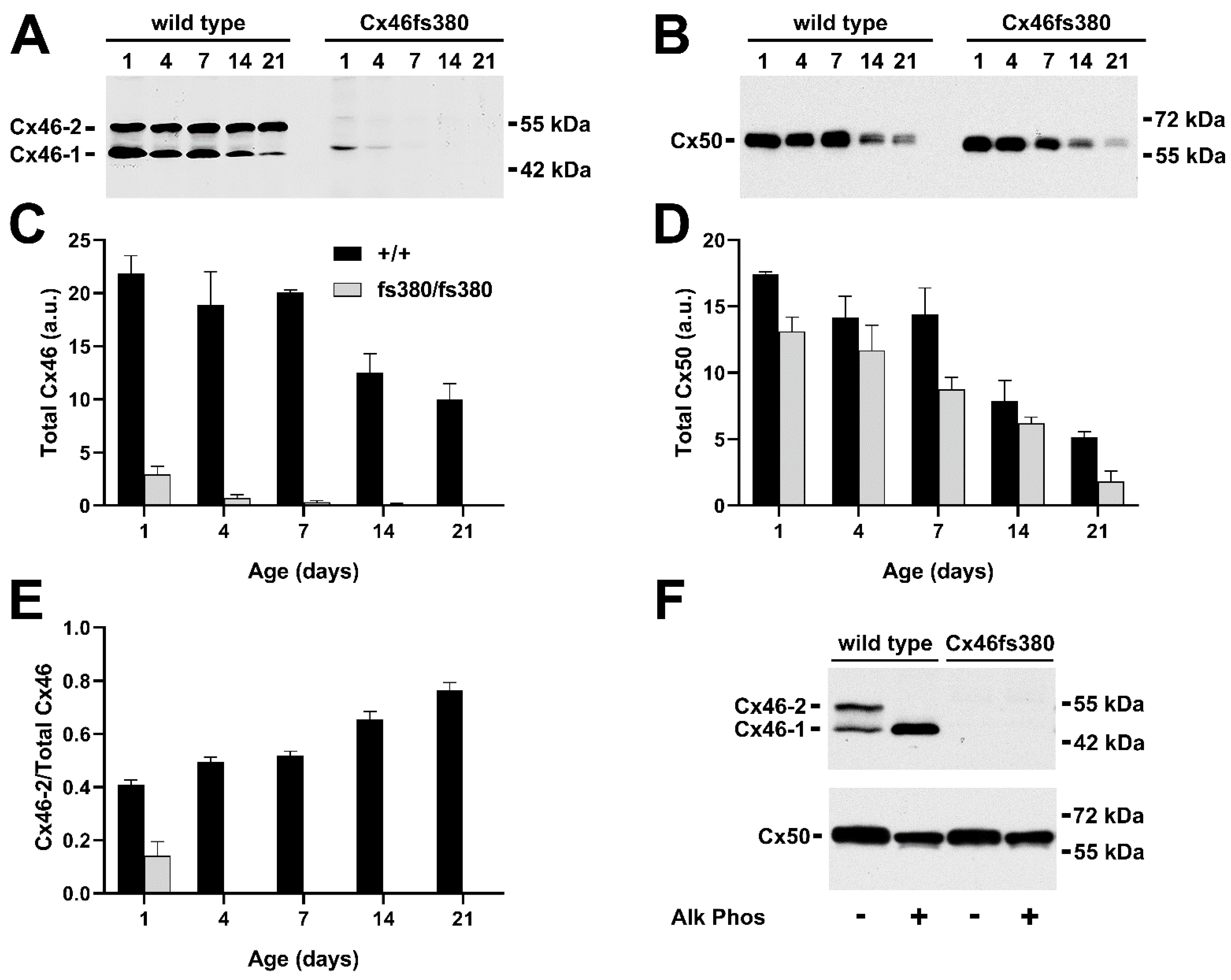 Cells 11 02786 g001 Cells 11 02786 g001