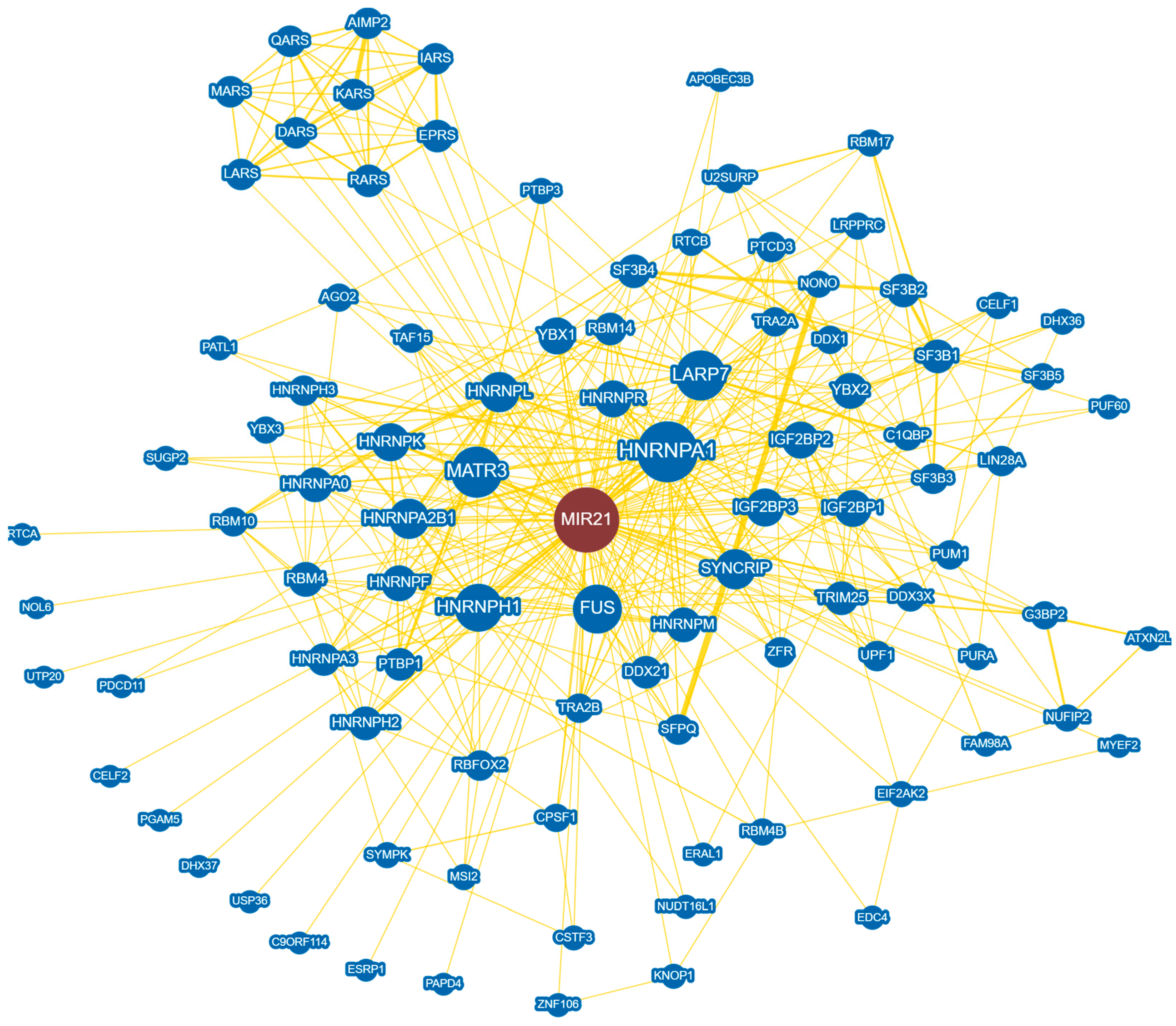 Cells 11 02791 g004 550