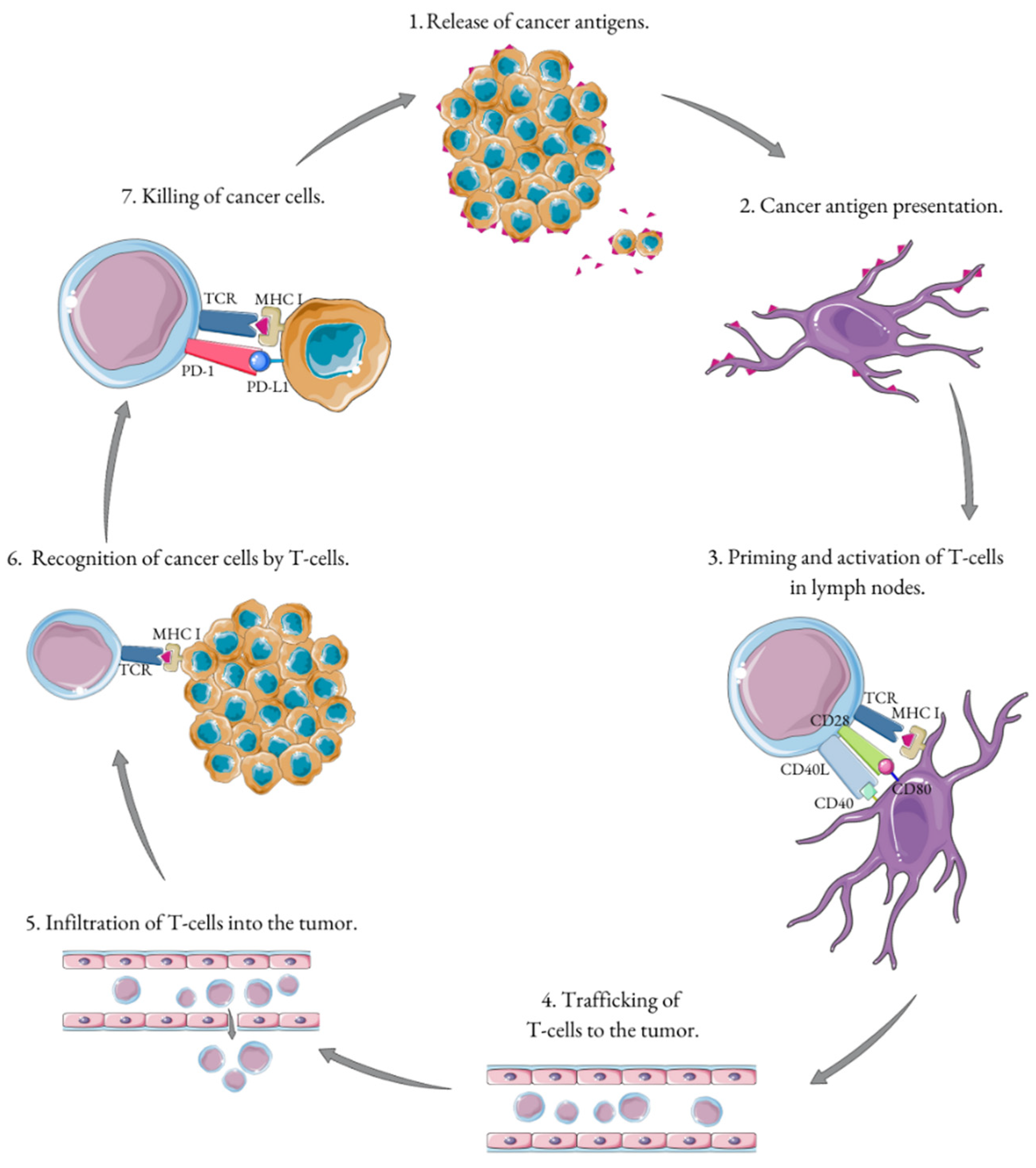 Cells 11 02793 g001 Cells 11 02793 g001