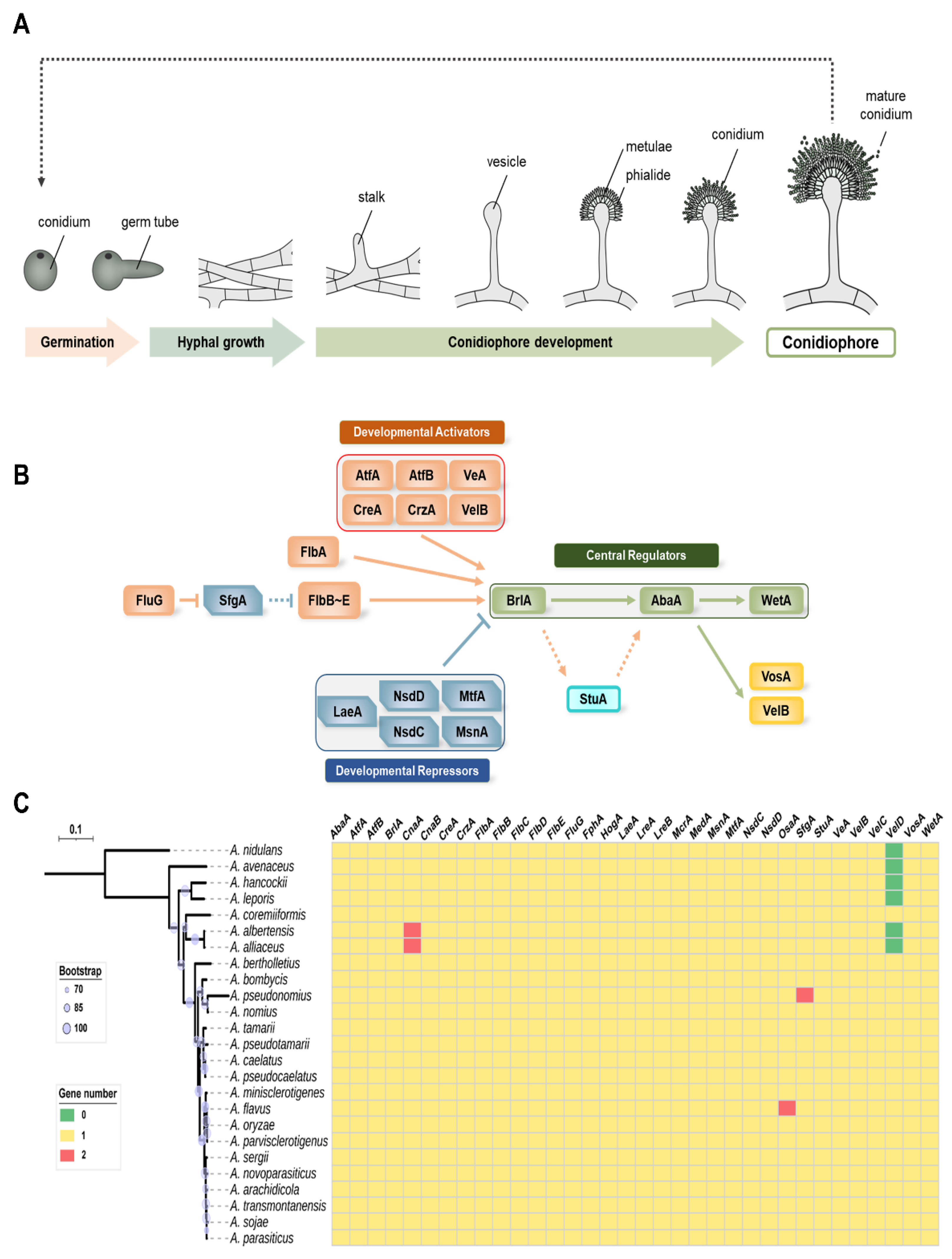 Cells 11 02796 g001 550