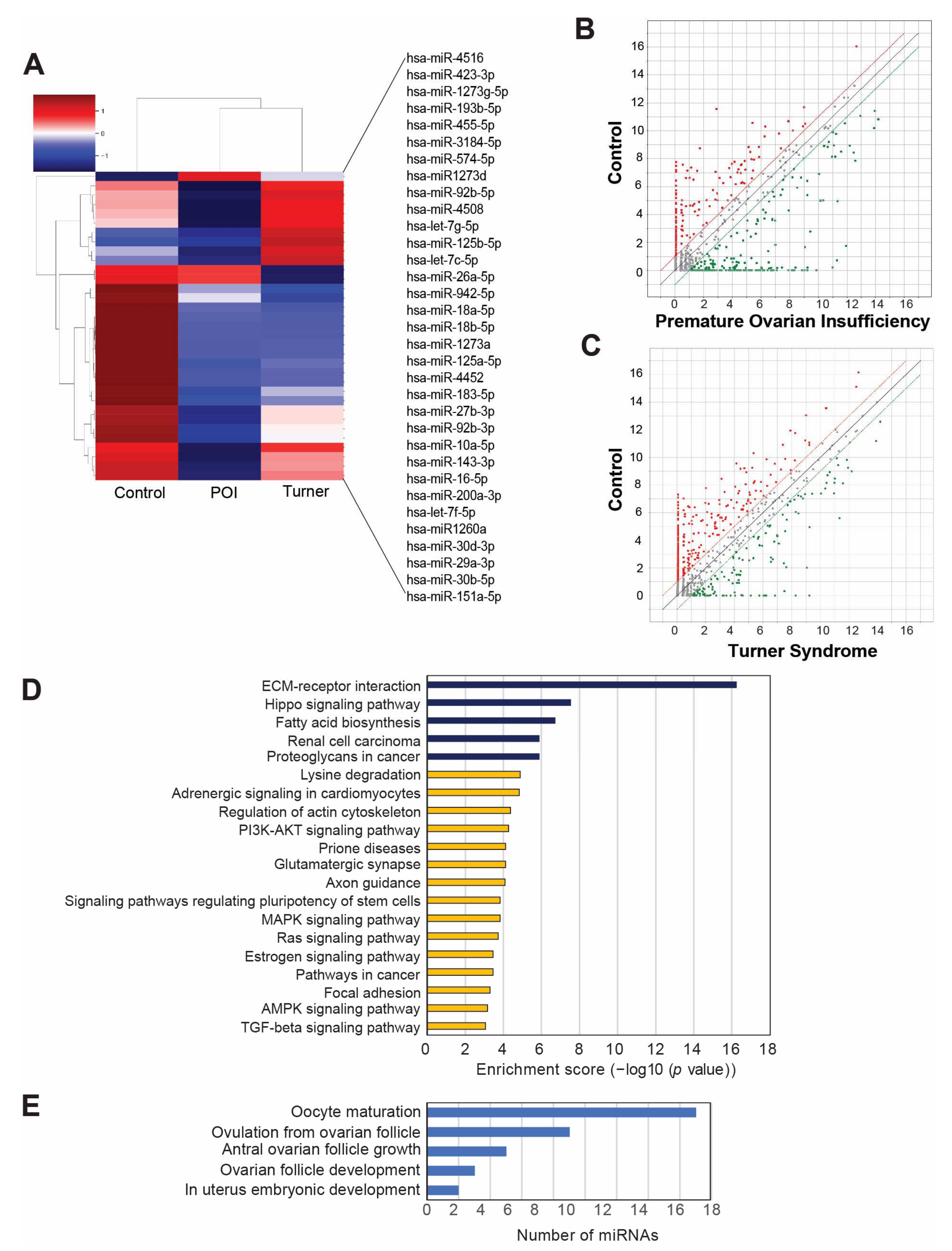 Cells 11 02797 g002 Cells 11 02797 g002