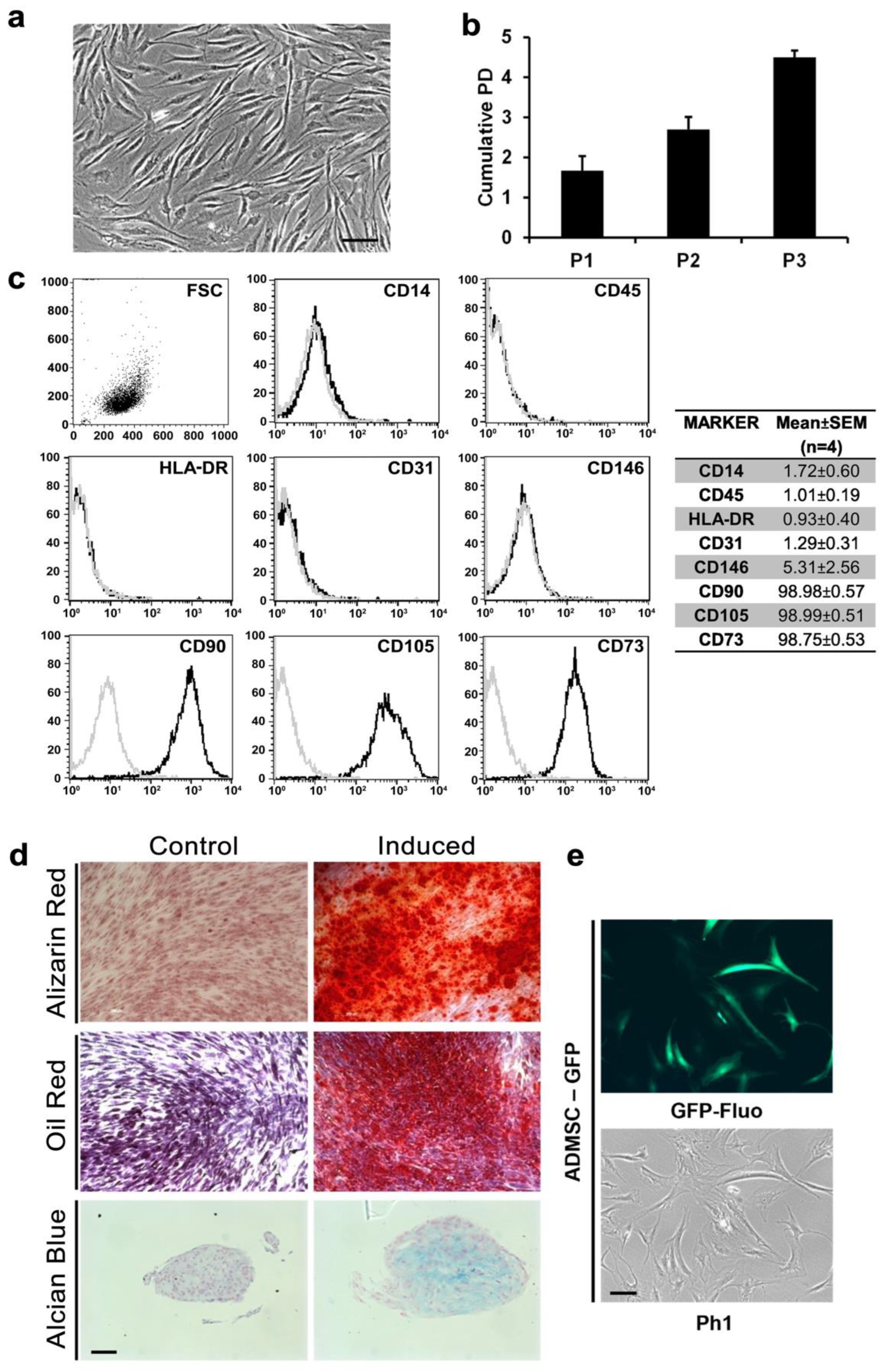 Cells 11 02799 g001 550
