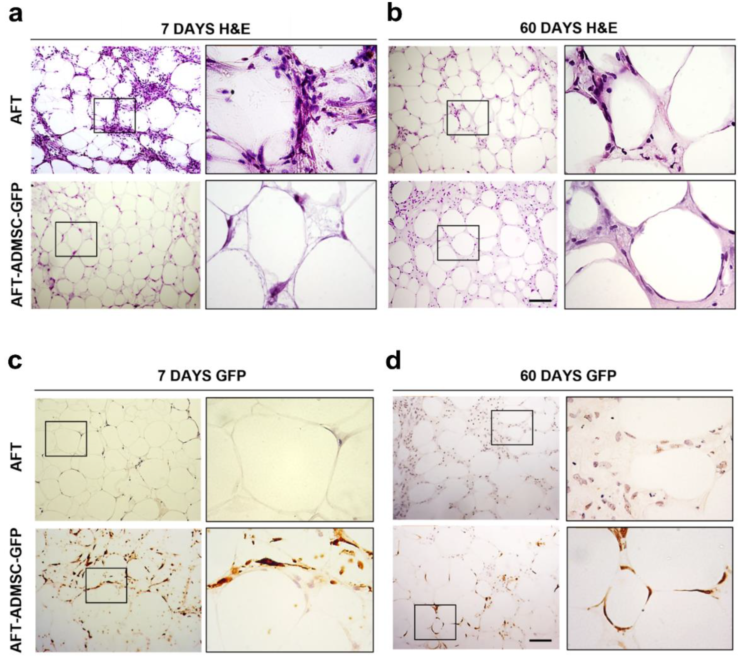 Cells 11 02799 g004 550