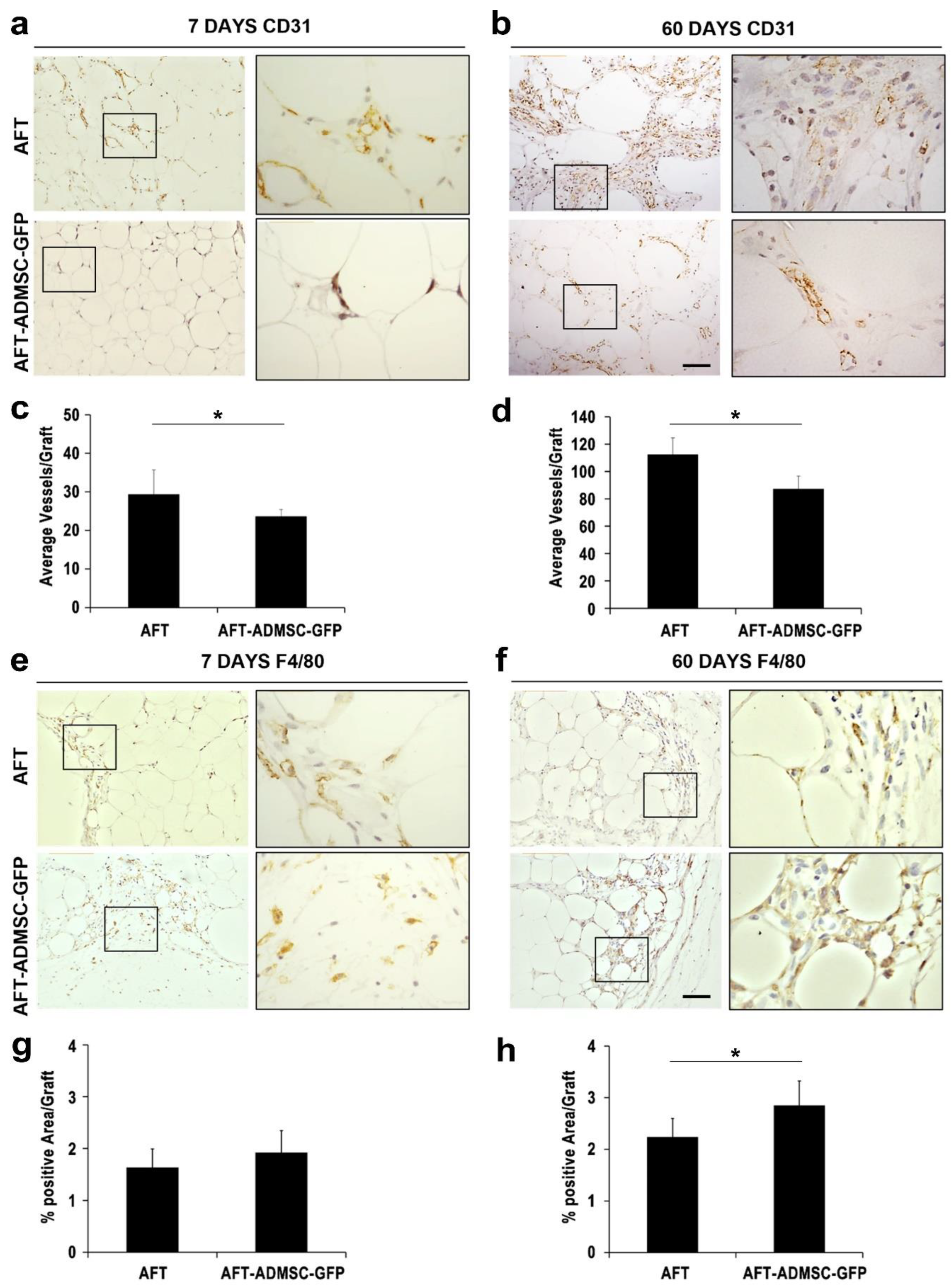 Cells 11 02799 g005 550