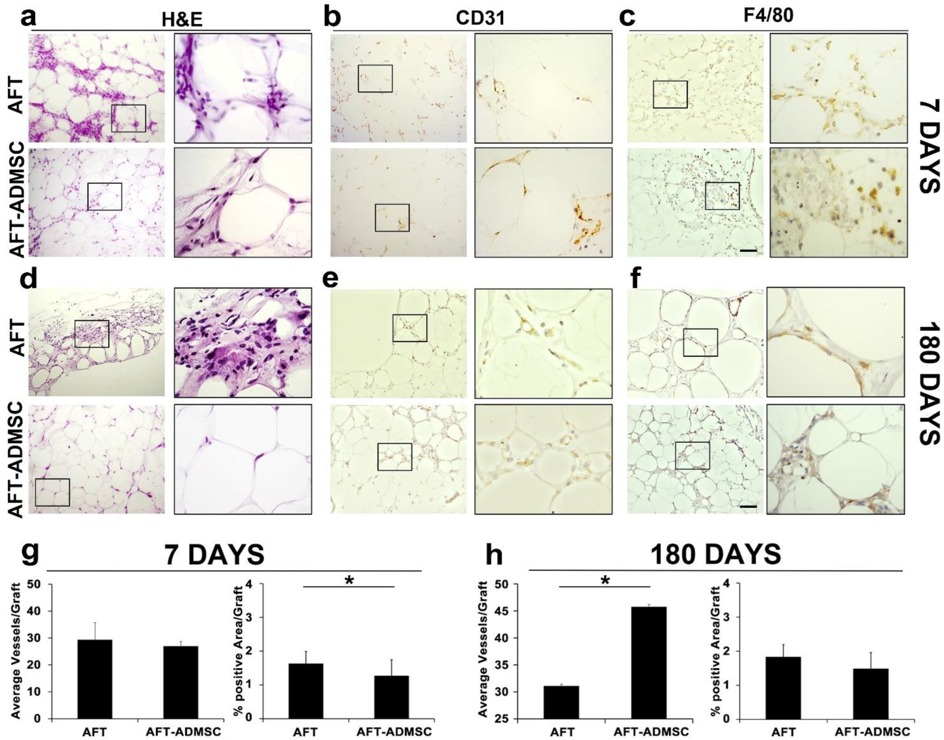 Cells 11 02799 g006 550