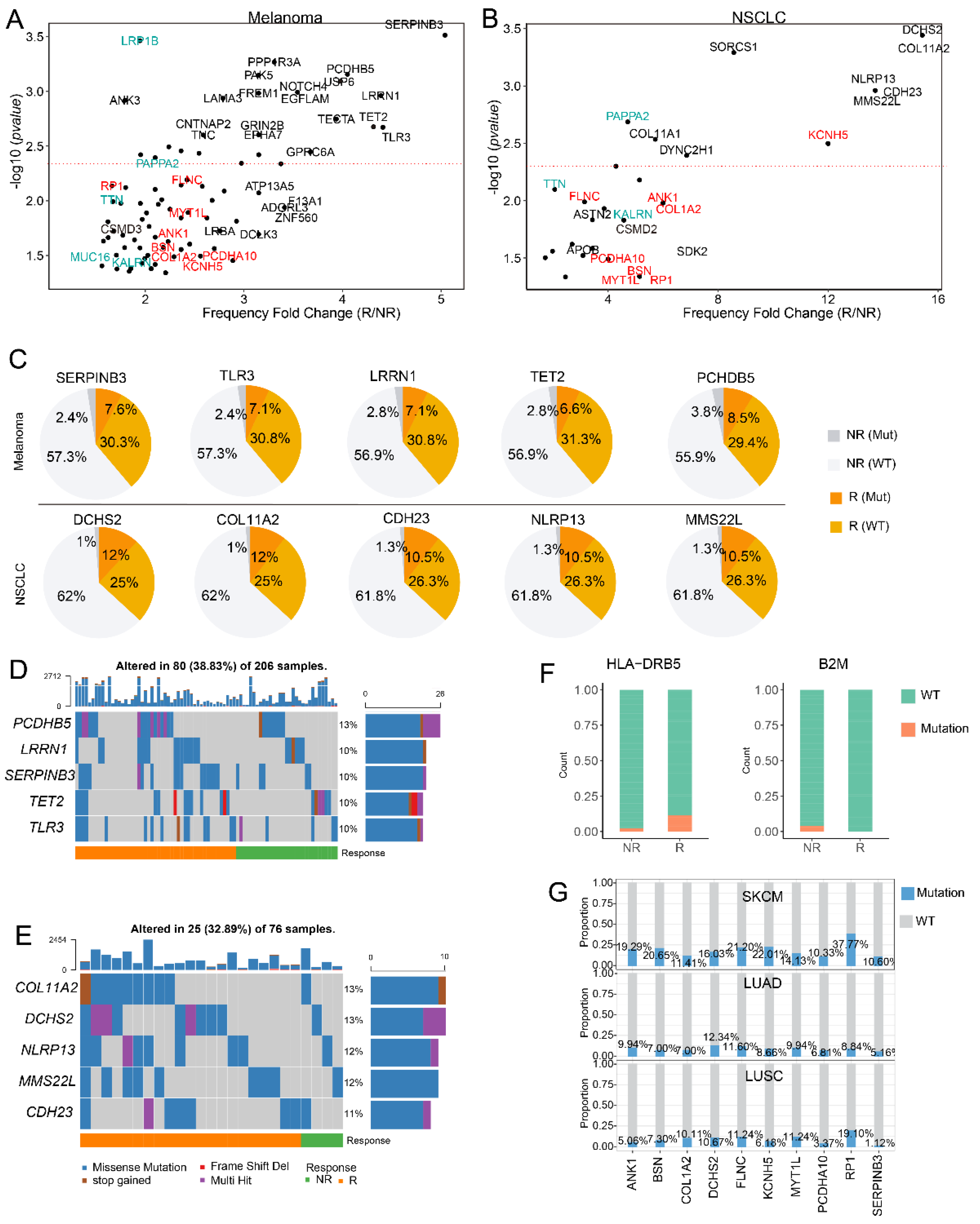 Cells 11 02802 g002 550