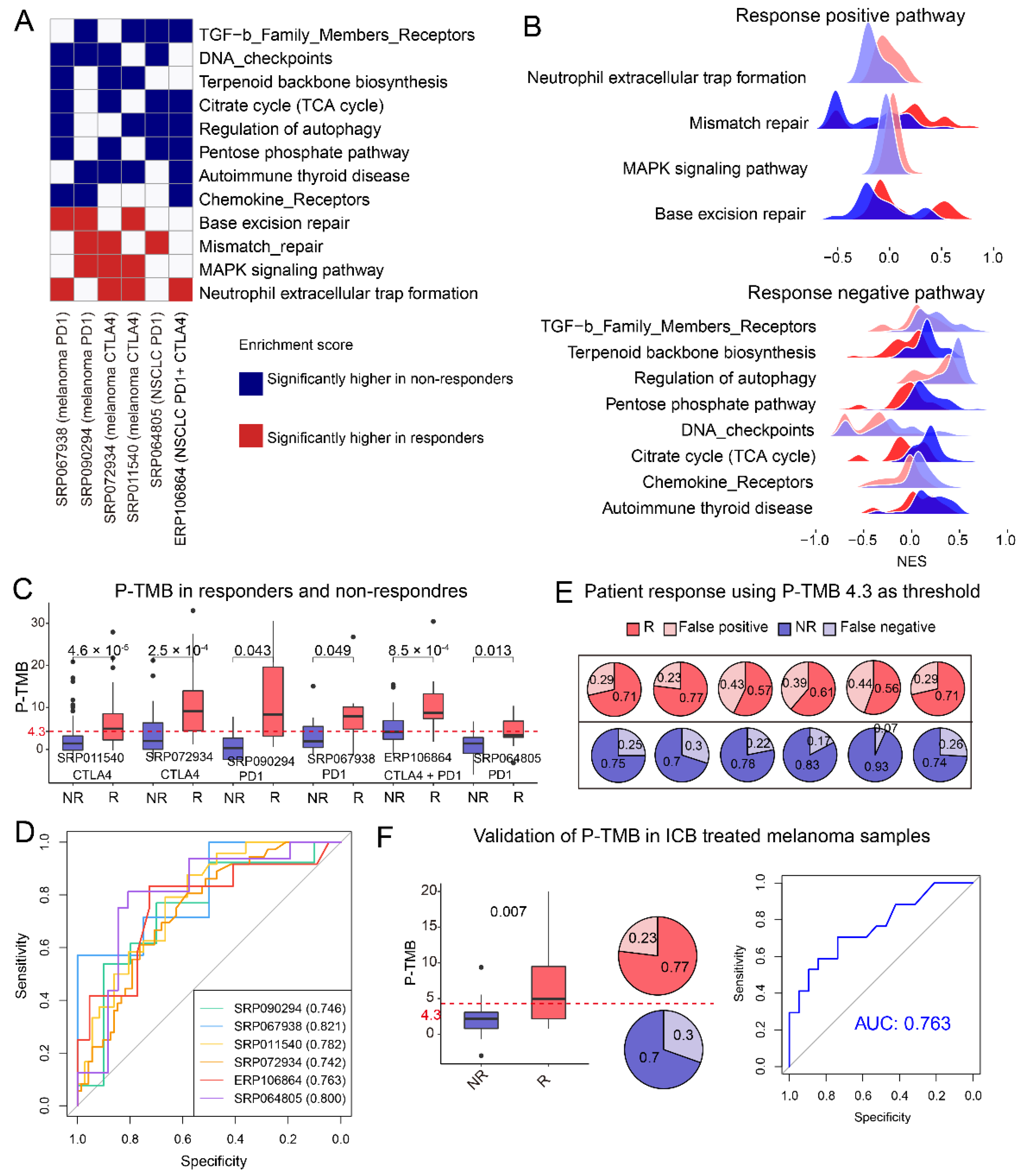 Cells 11 02802 g004 550