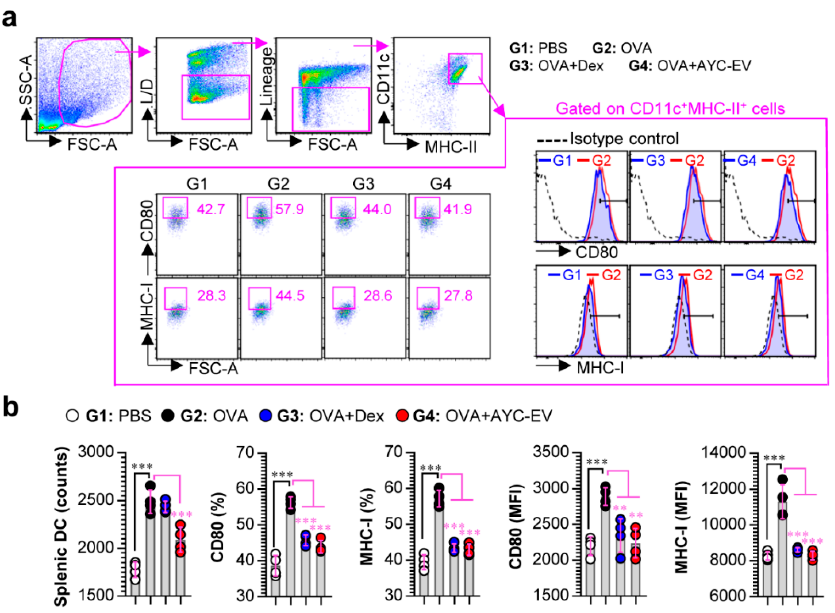Cells 11 02805 g007 550