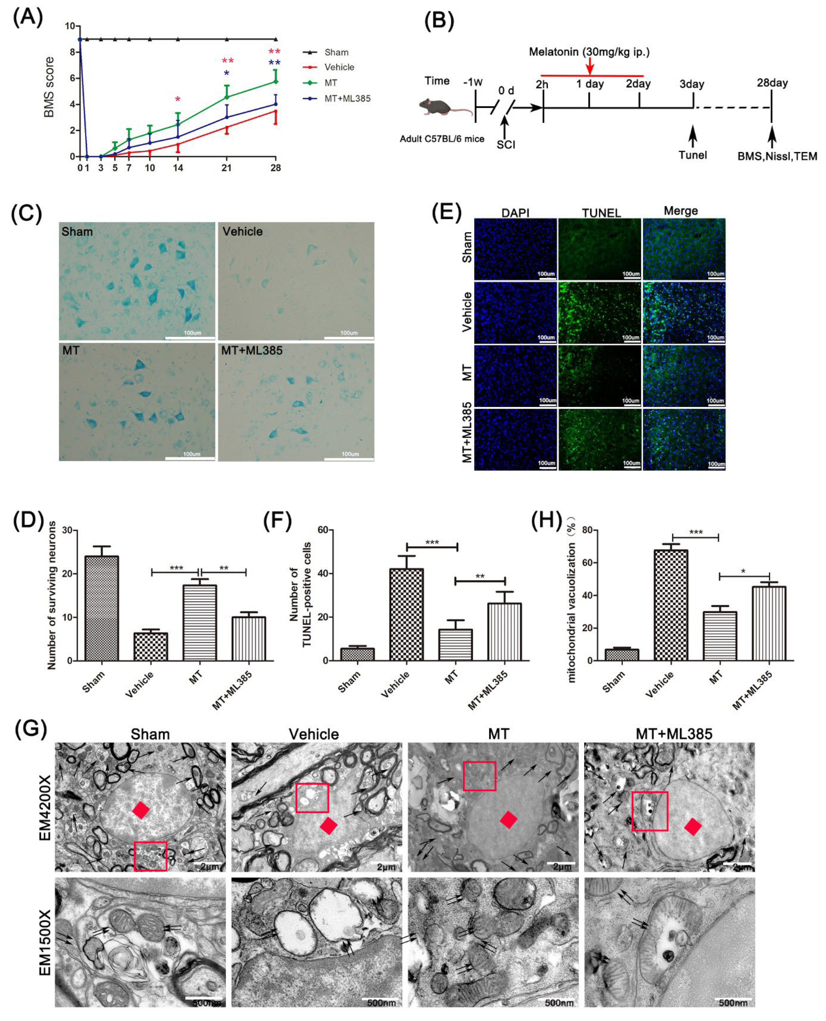 Cells 11 02809 g001 550