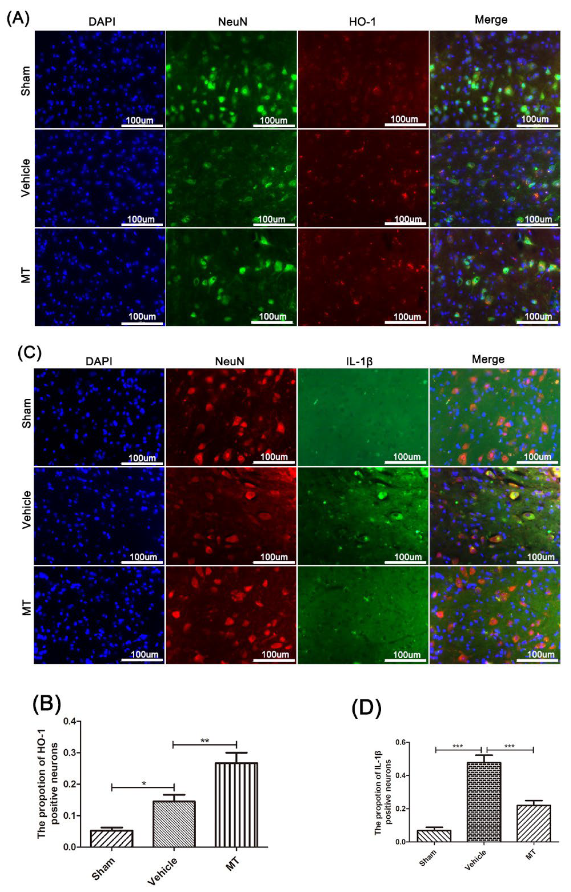 Cells 11 02809 g004 550