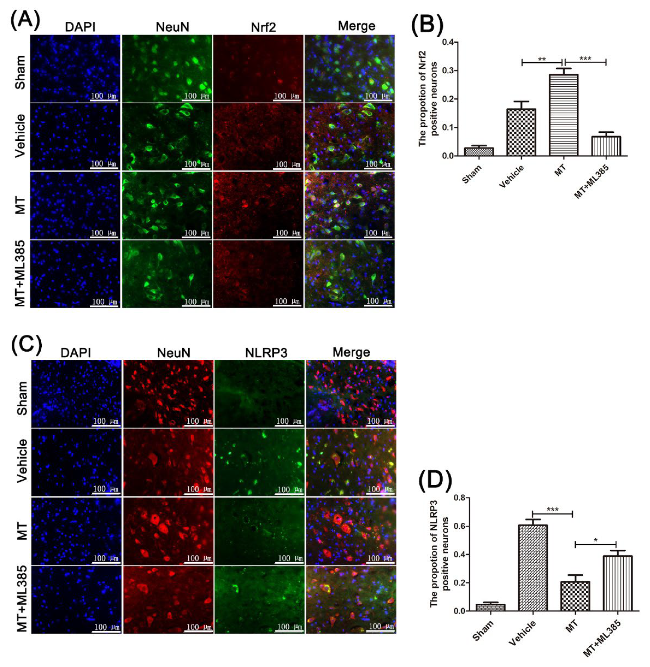 Cells 11 02809 g006 550