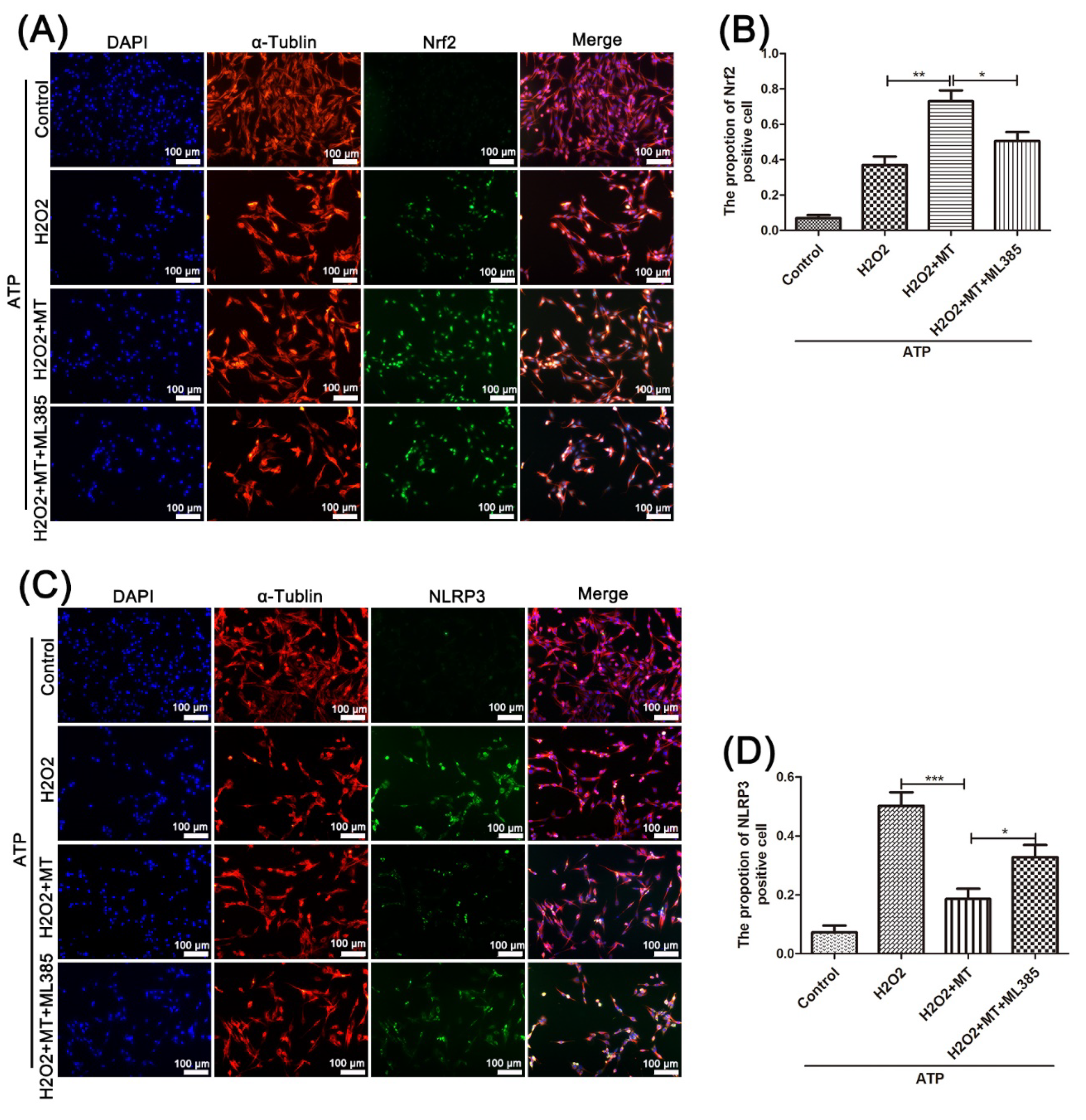 Cells 11 02809 g008 550
