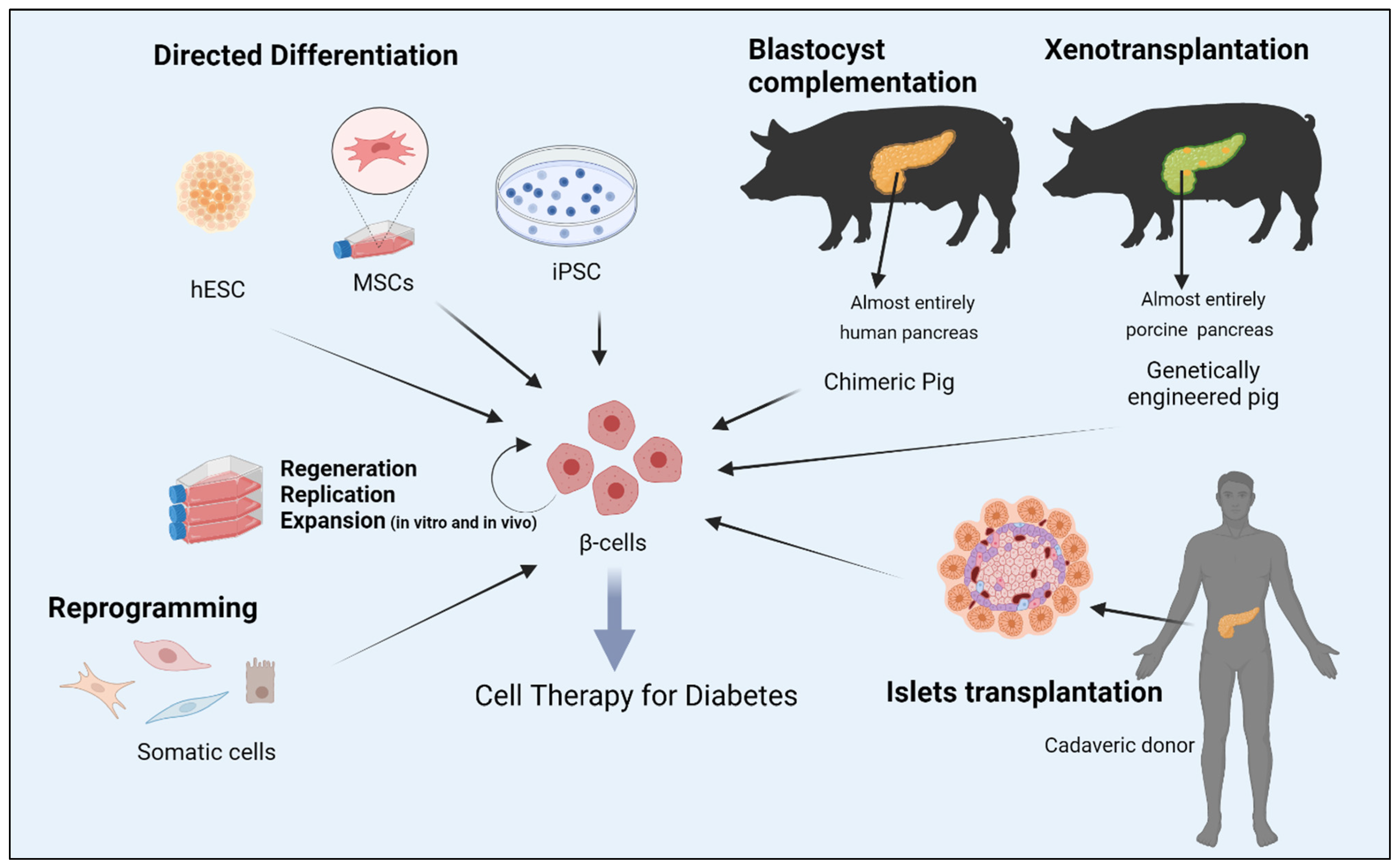 Cells 11 02813 g001 Cells 11 02813 g001