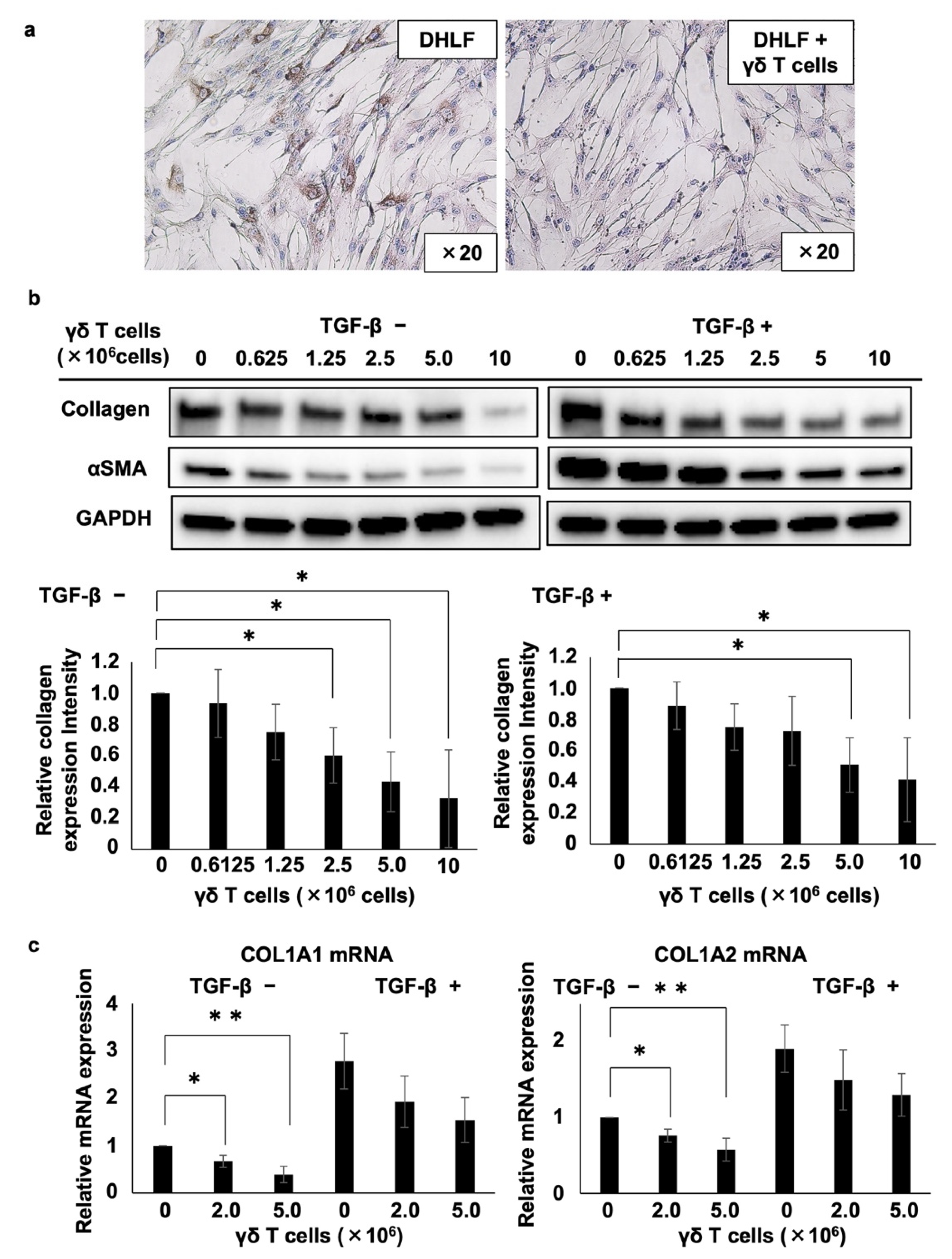 Cells 11 02816 g001 550