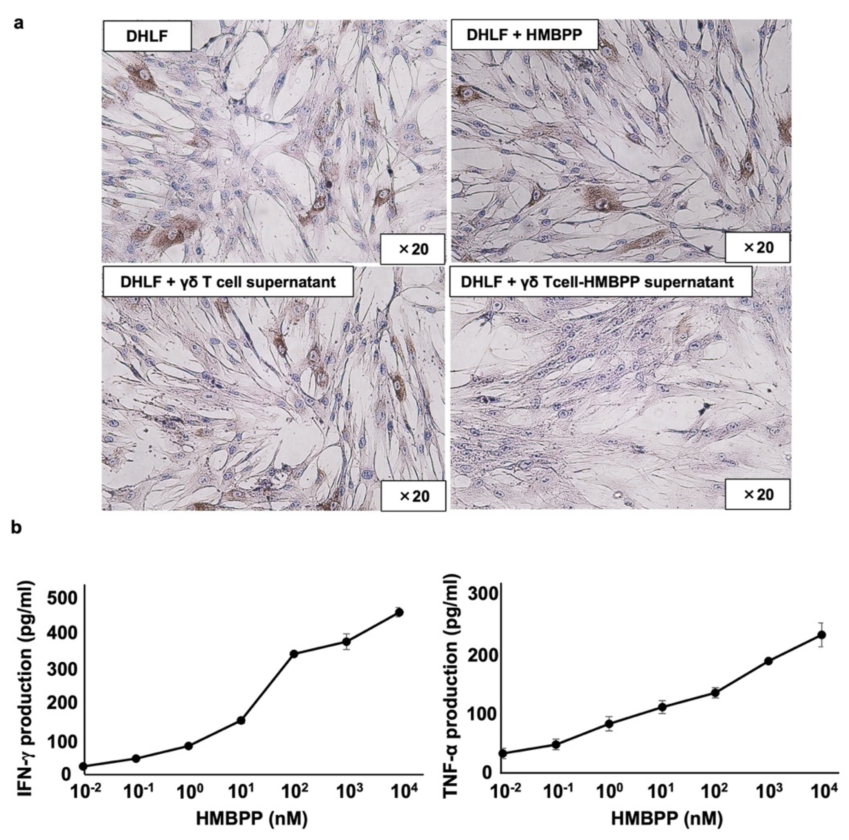 Cells 11 02816 g004 550