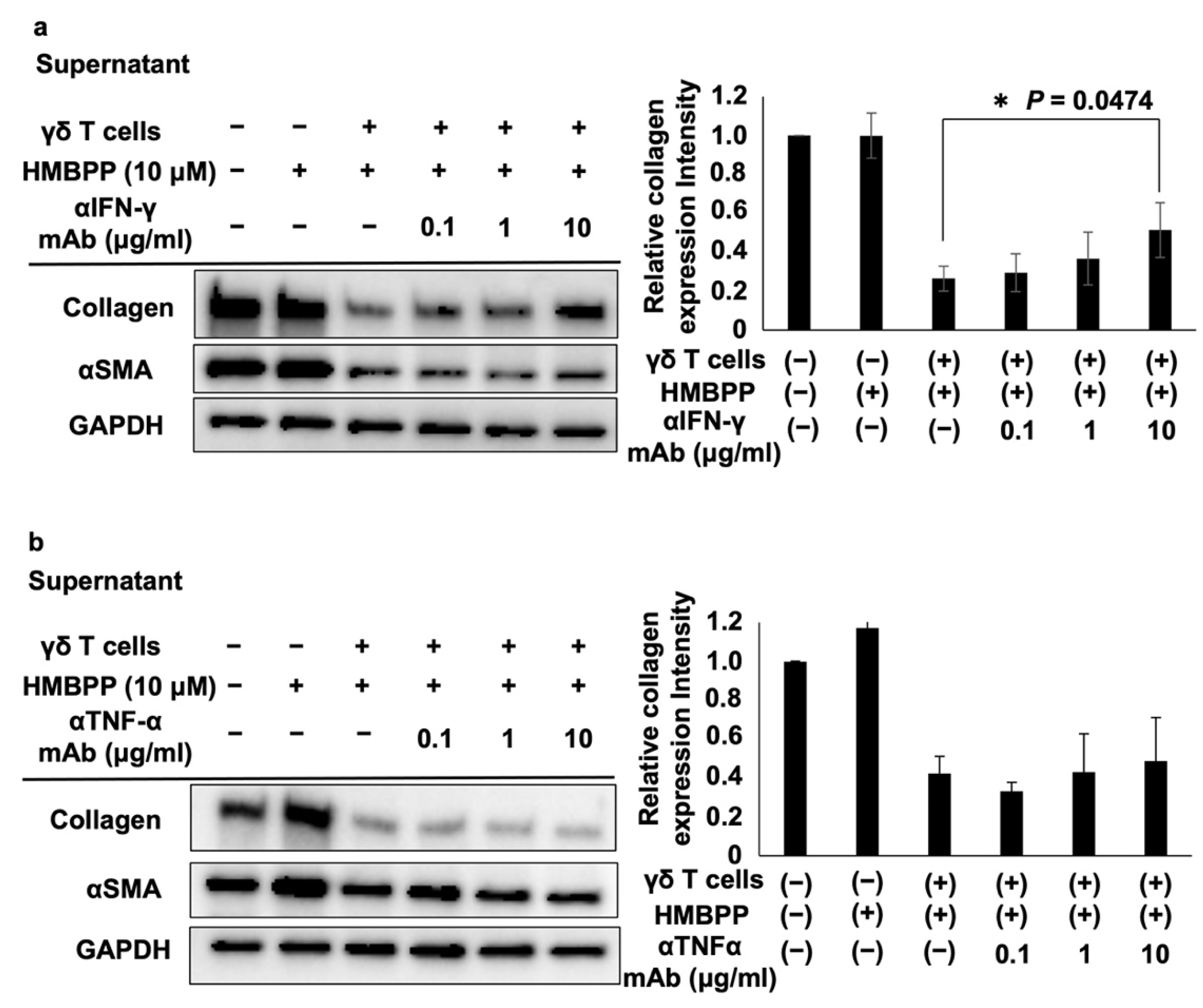 Cells 11 02816 g005 550