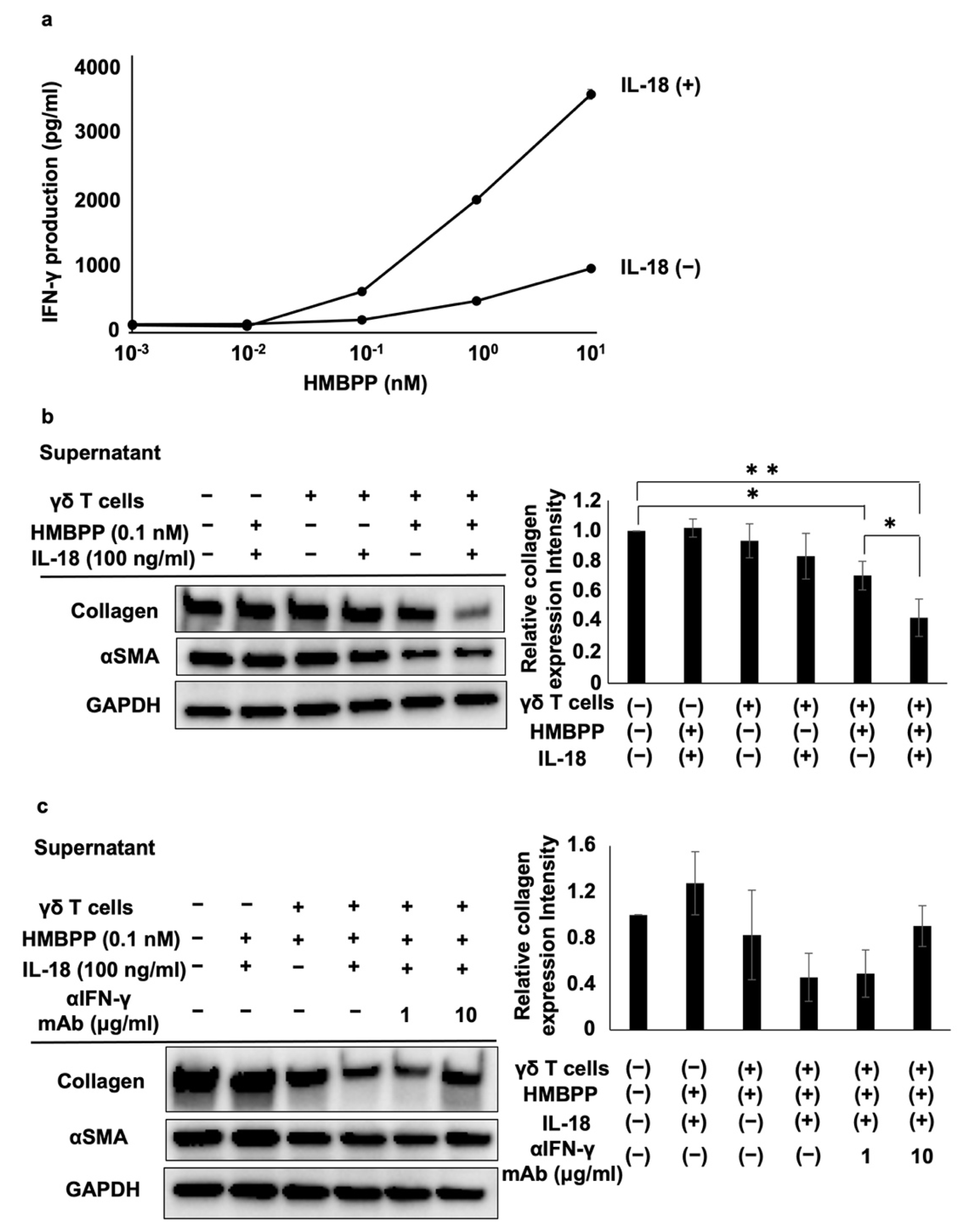Cells 11 02816 g006 550