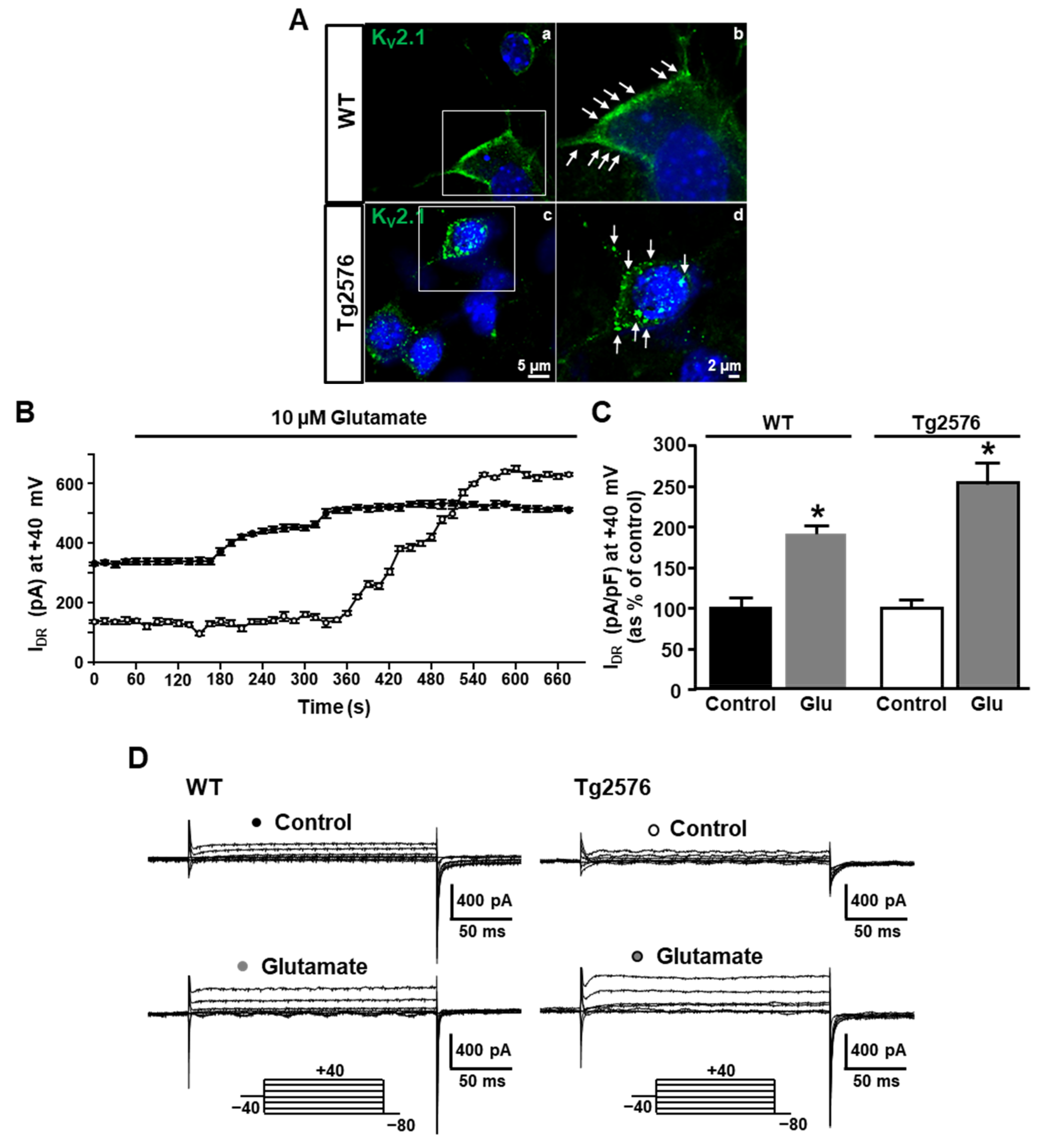 Cells 11 02820 g004a