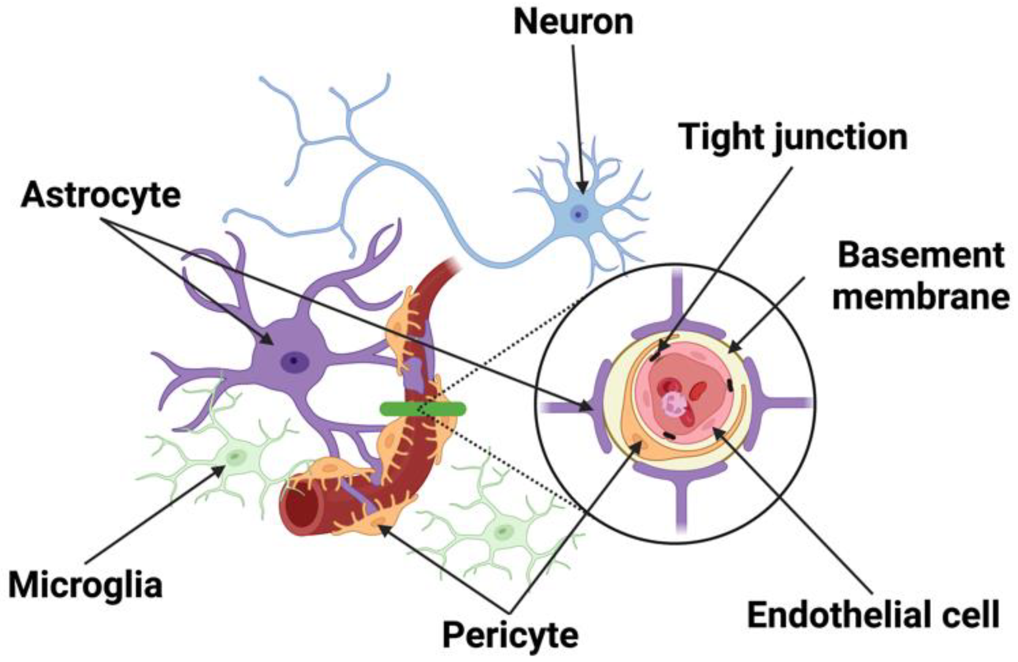 Cells 11 02823 g001 Cells 11 02823 g001