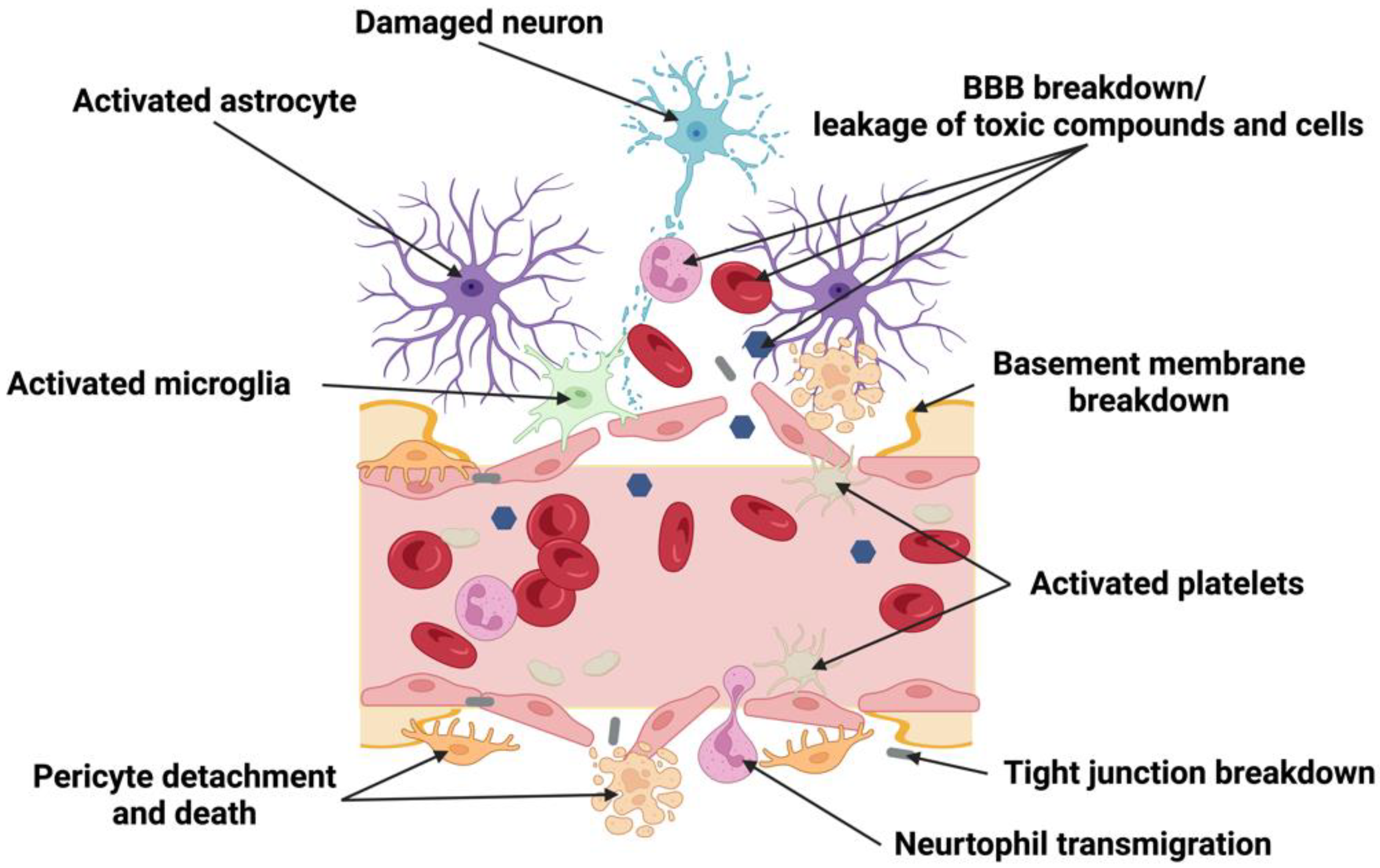 Cells 11 02823 g002 Cells 11 02823 g002
