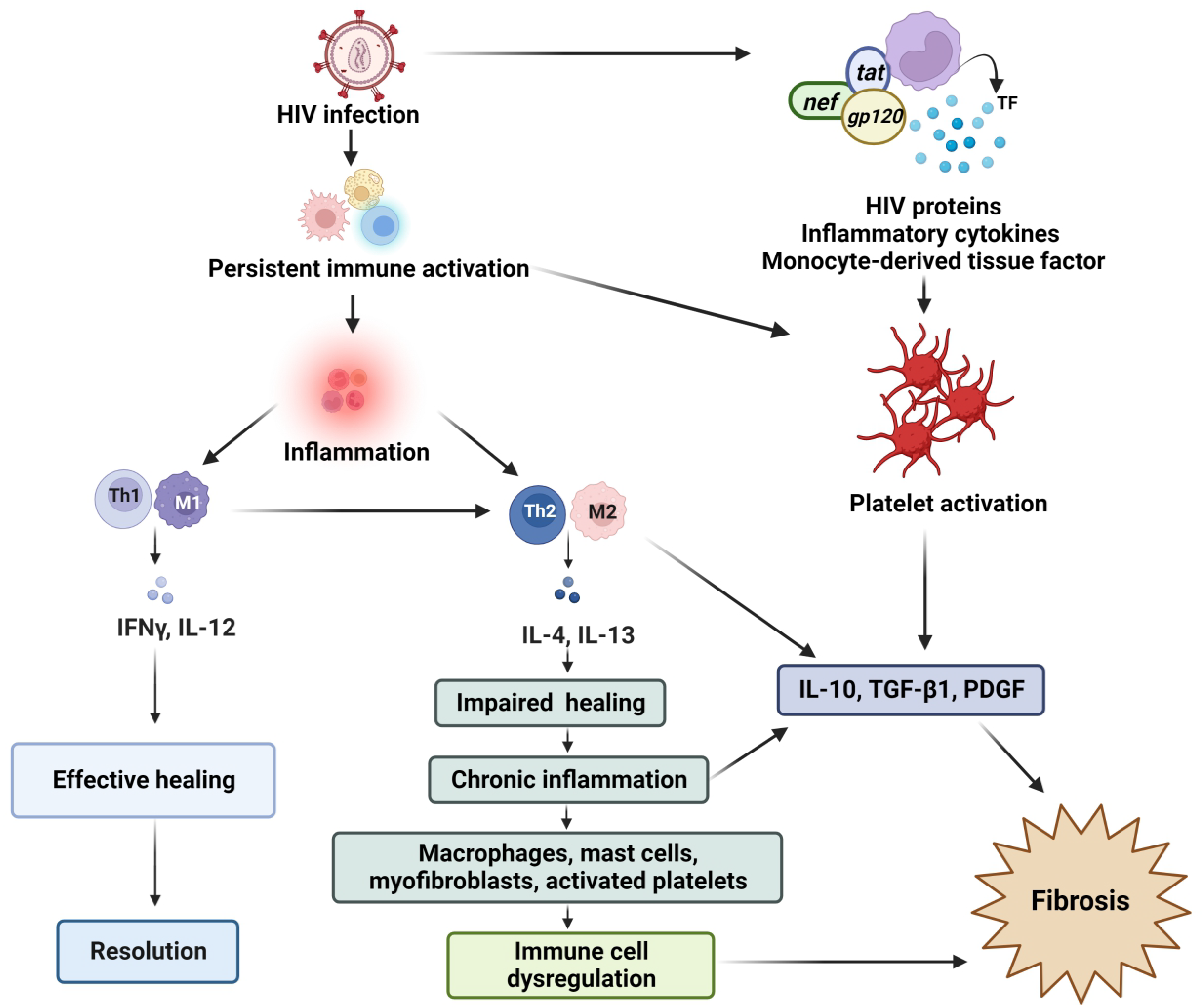 Cells 11 02825 g002 Cells 11 02825 g002
